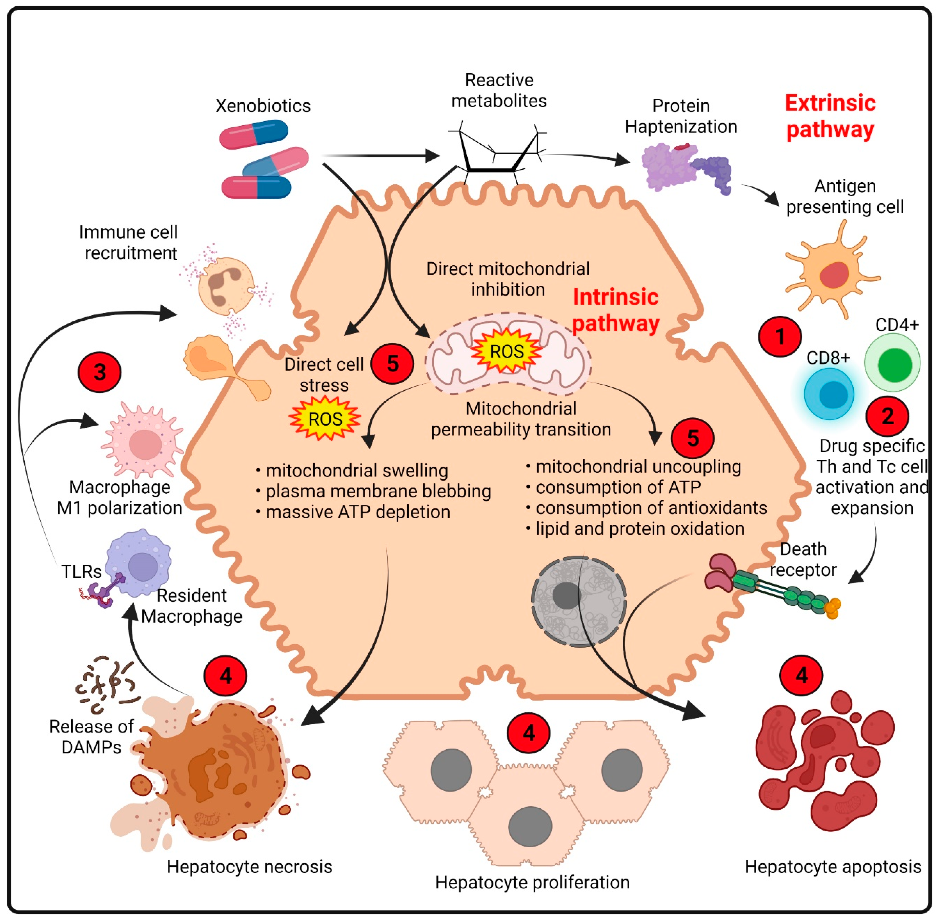 Ijms 23 02669 g001 Ijms 23 02669 g001