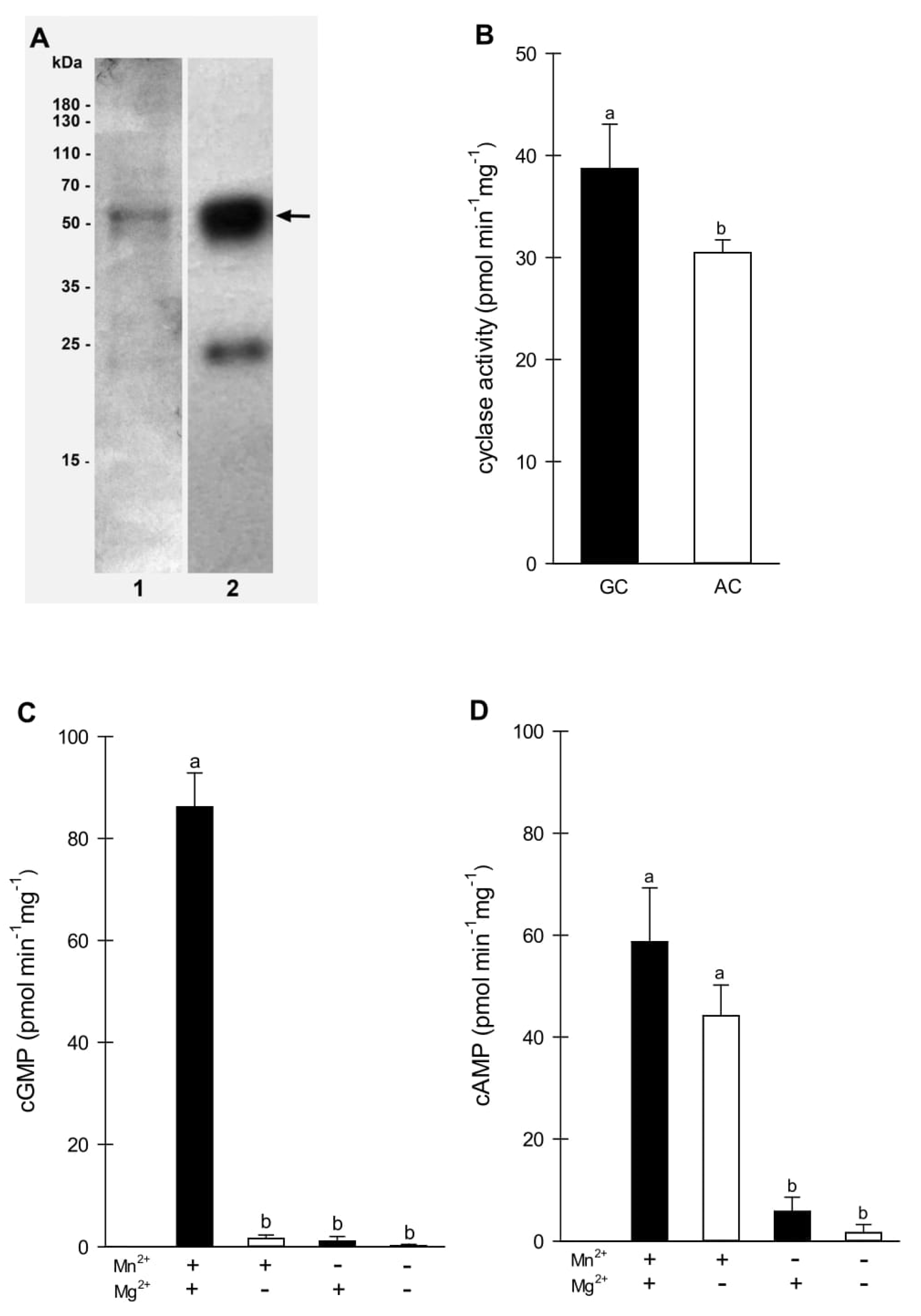 Ijms 23 02674 g001 550