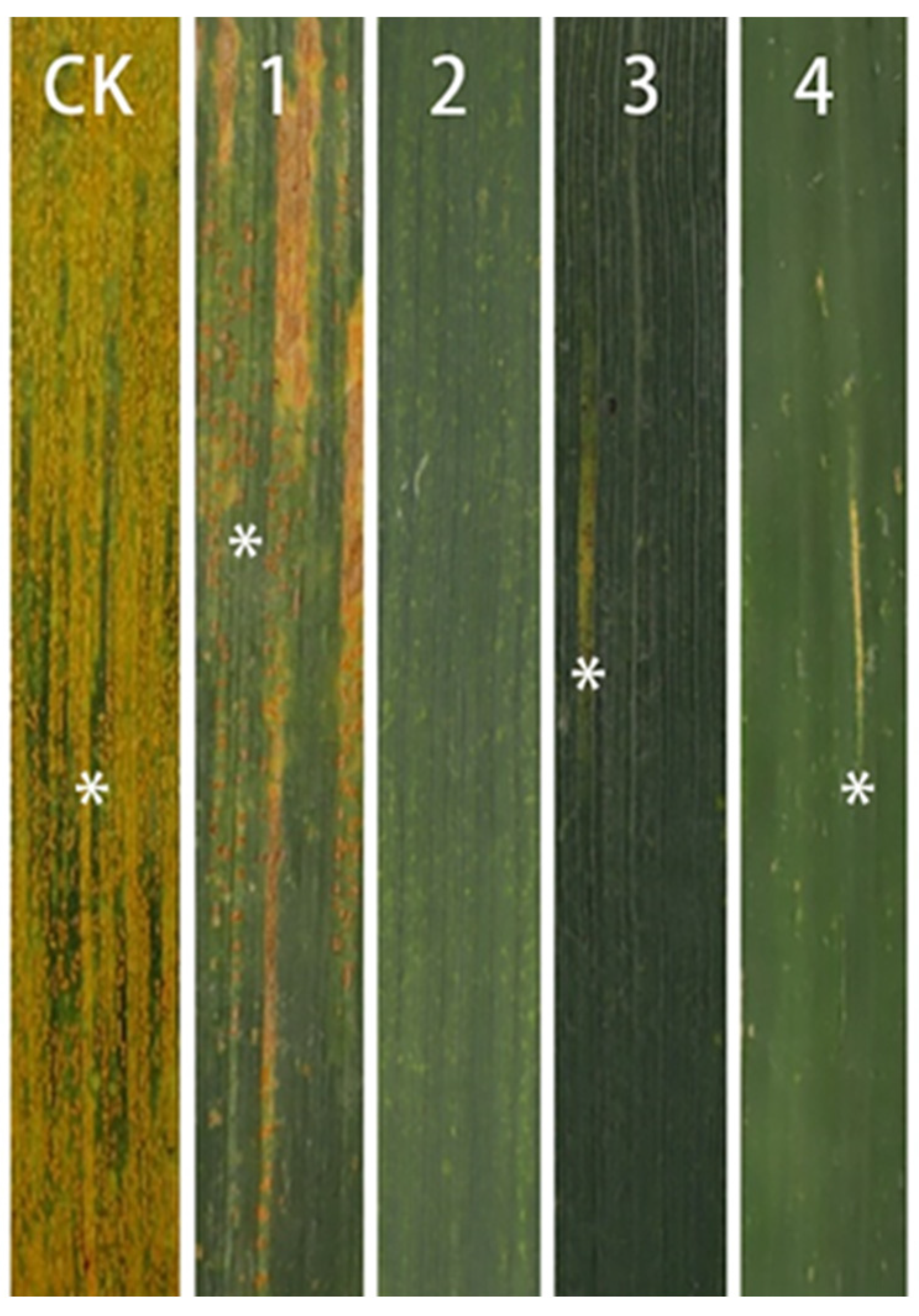 Ijms 23 02676 g005 550