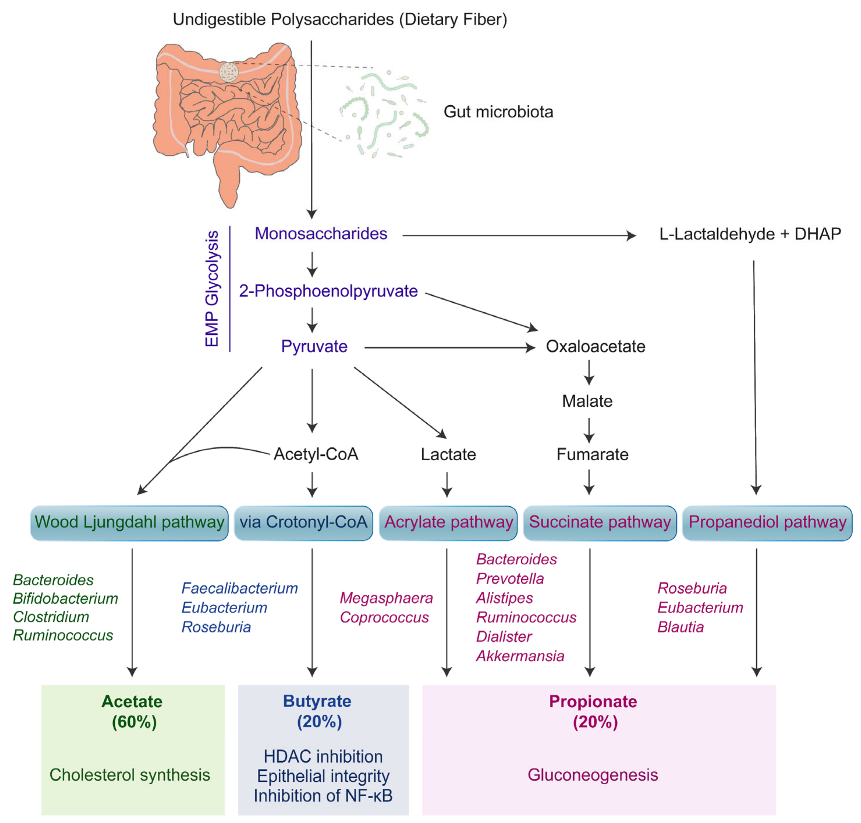 The dynamics and interactions between the skin metabolome, microbiome, and  UV exposure