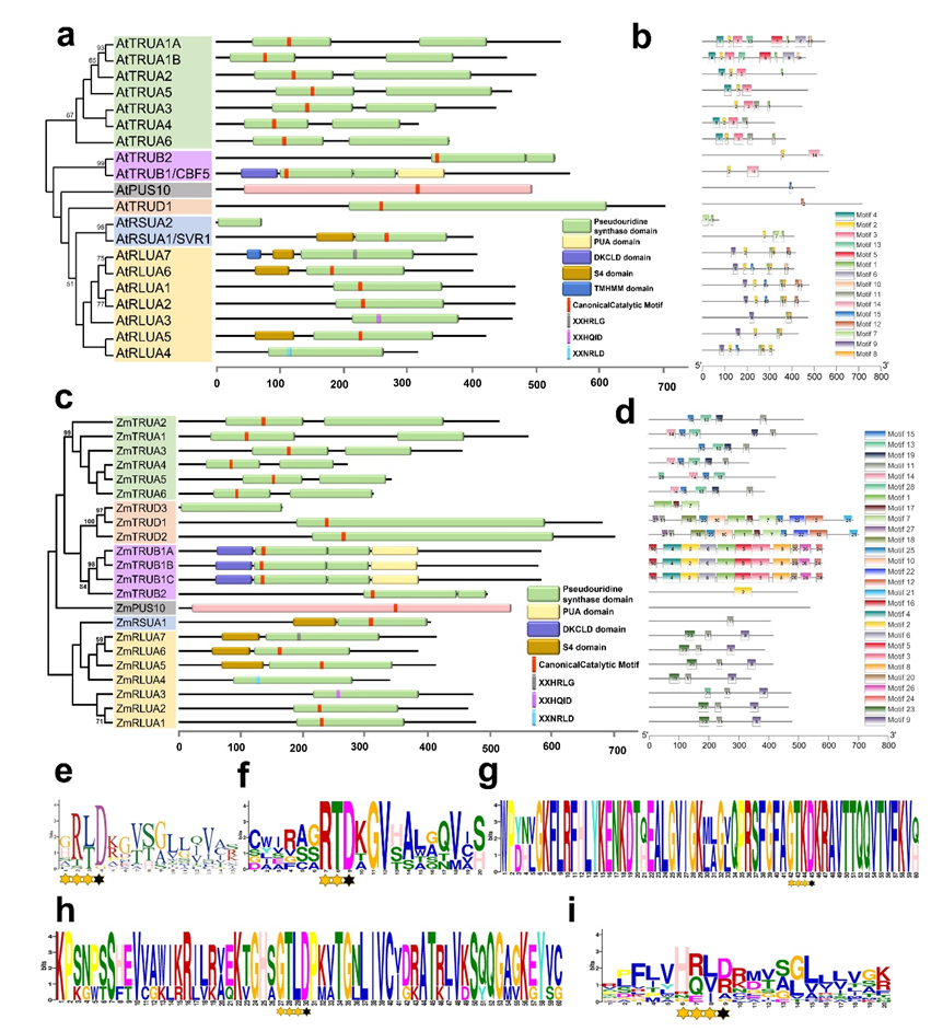 Ijms 23 02680 g004 550
