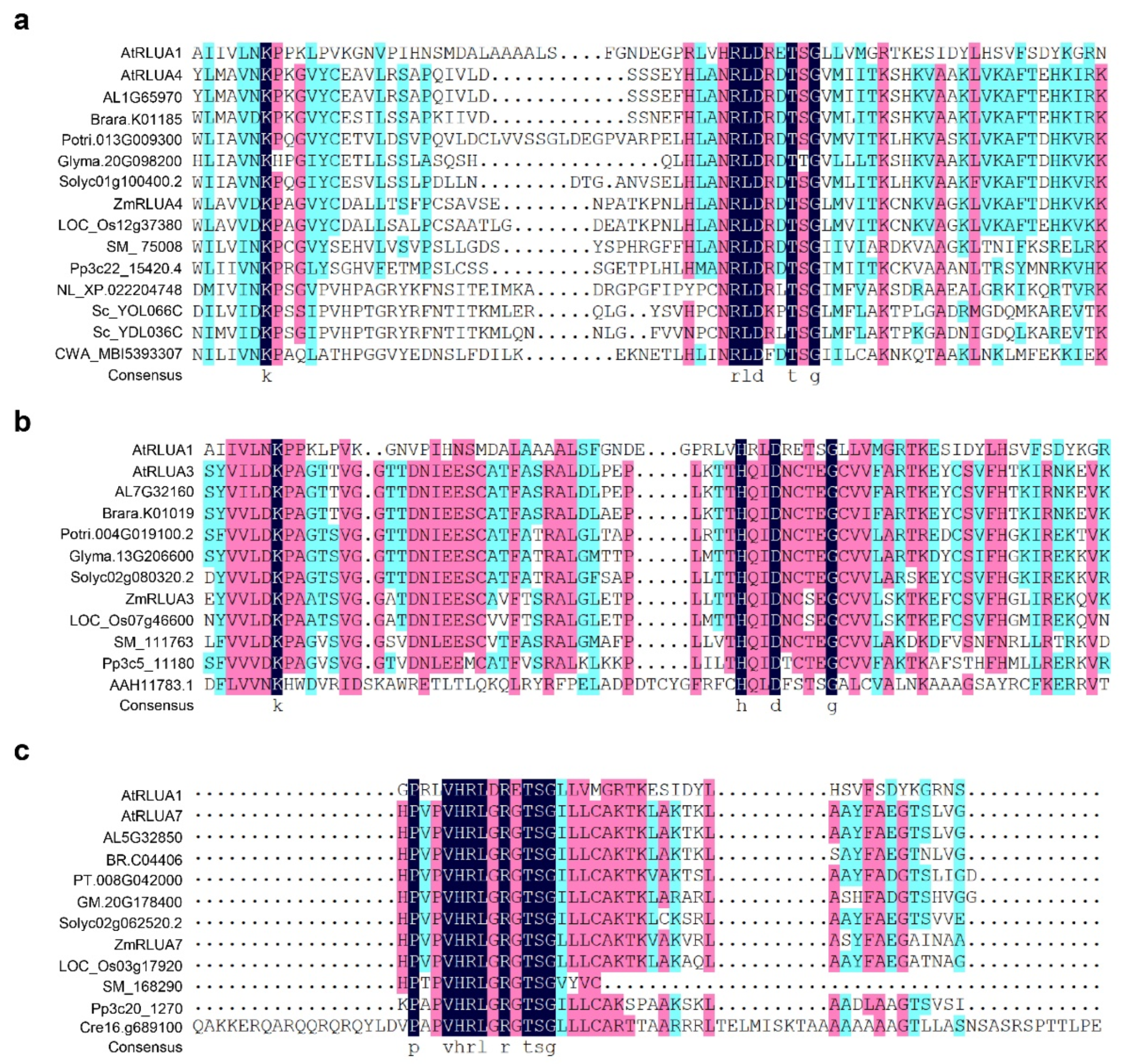 Ijms 23 02680 g005 550