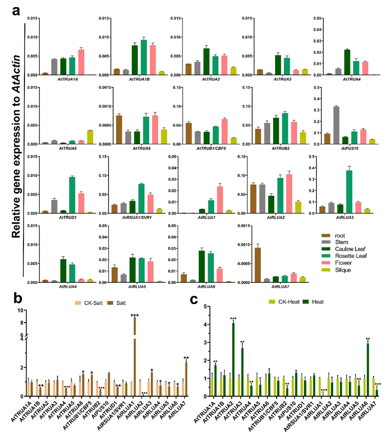 Ijms 23 02680 g007 550