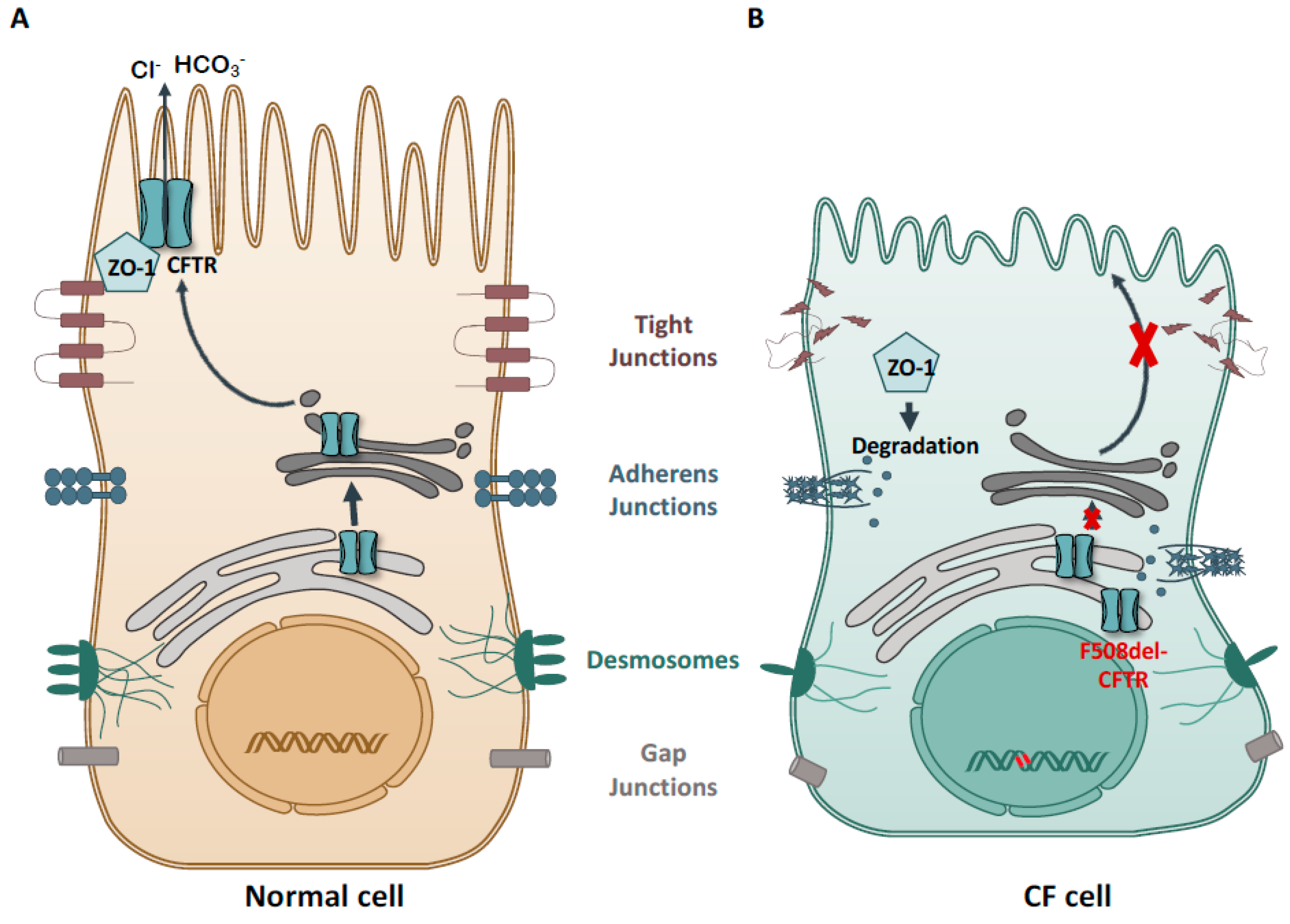 Ijms 23 02688 g002 550
