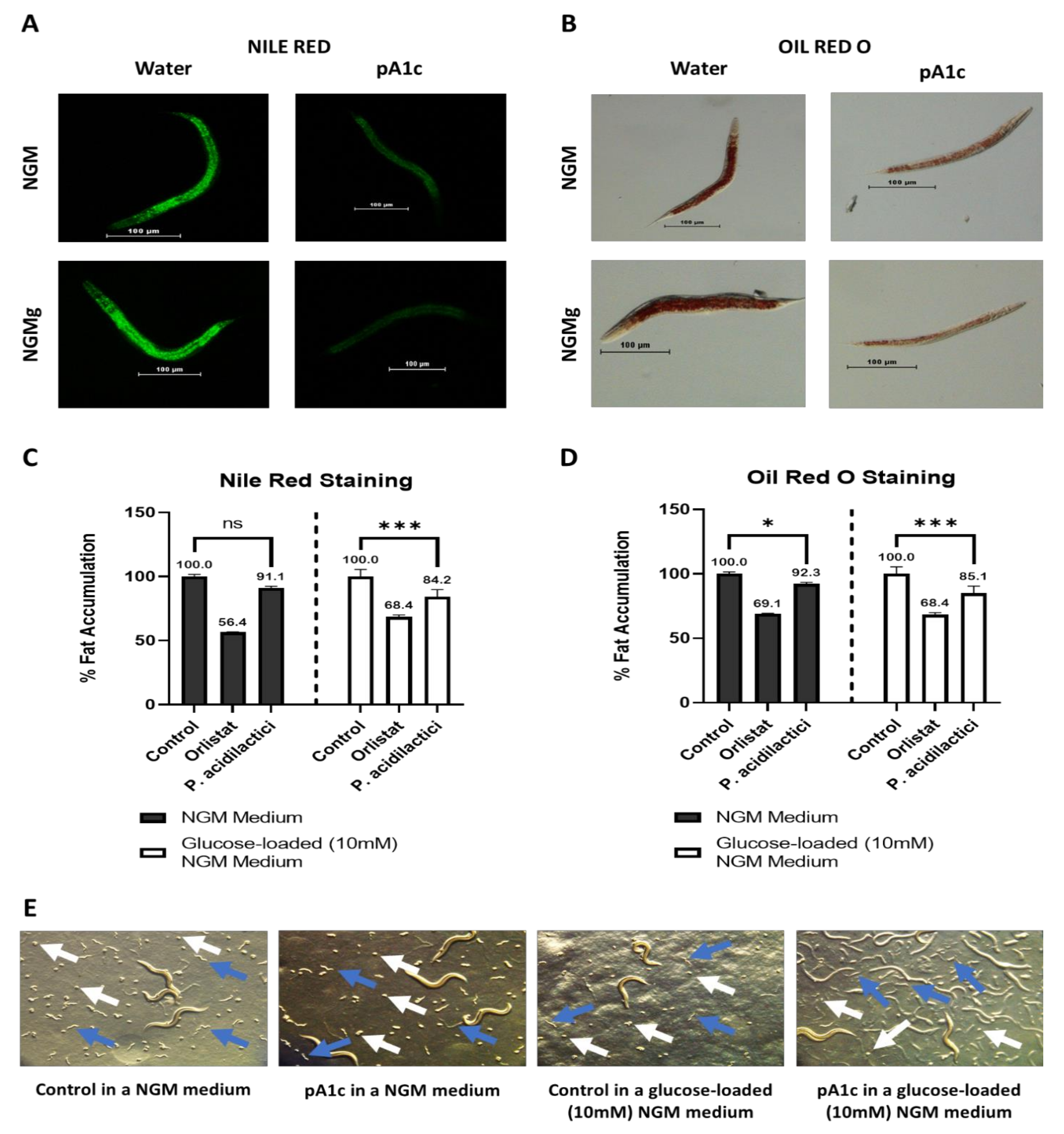 Ijms 23 02689 g001 Ijms 23 02689 g001