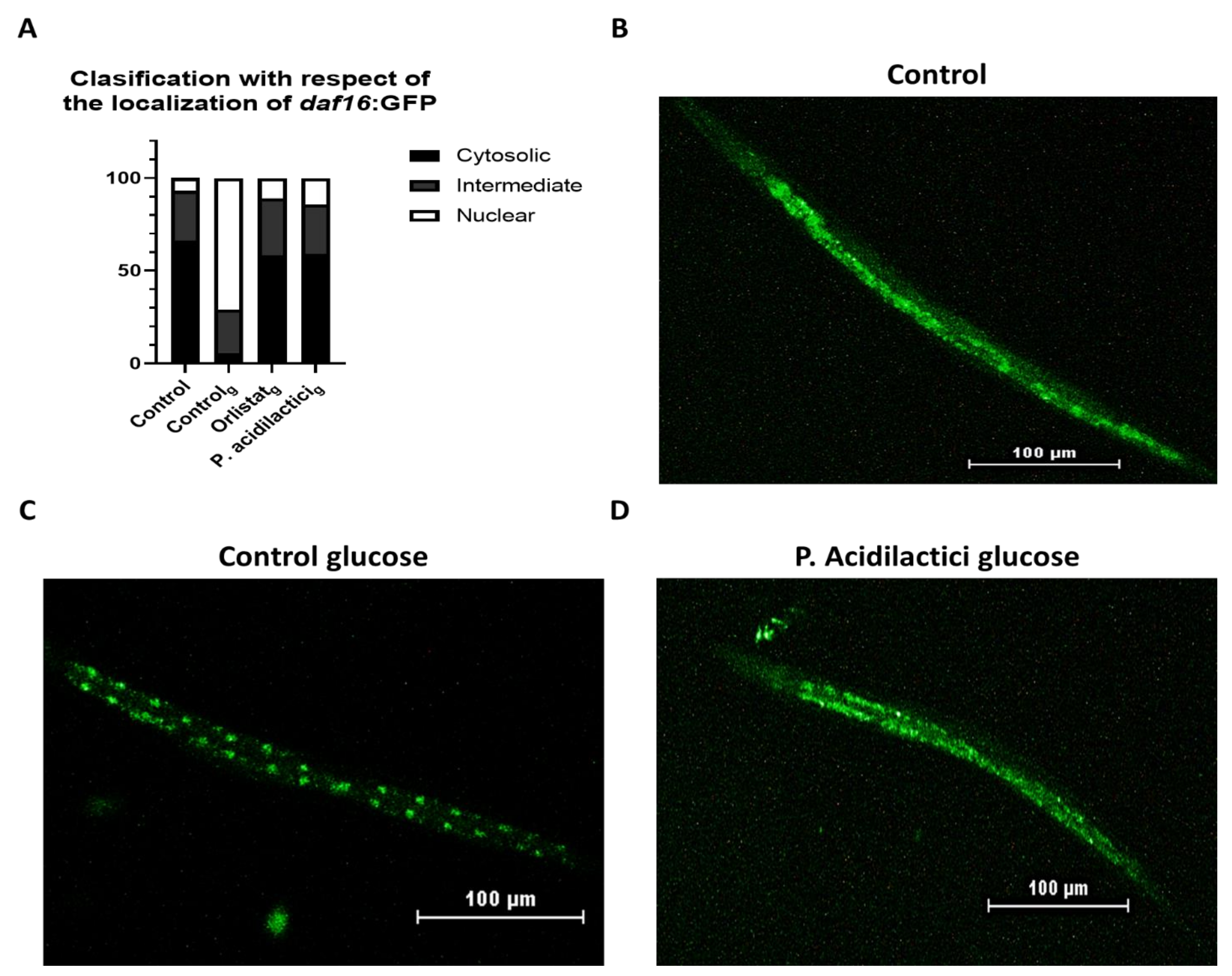 Ijms 23 02689 g003 Ijms 23 02689 g003