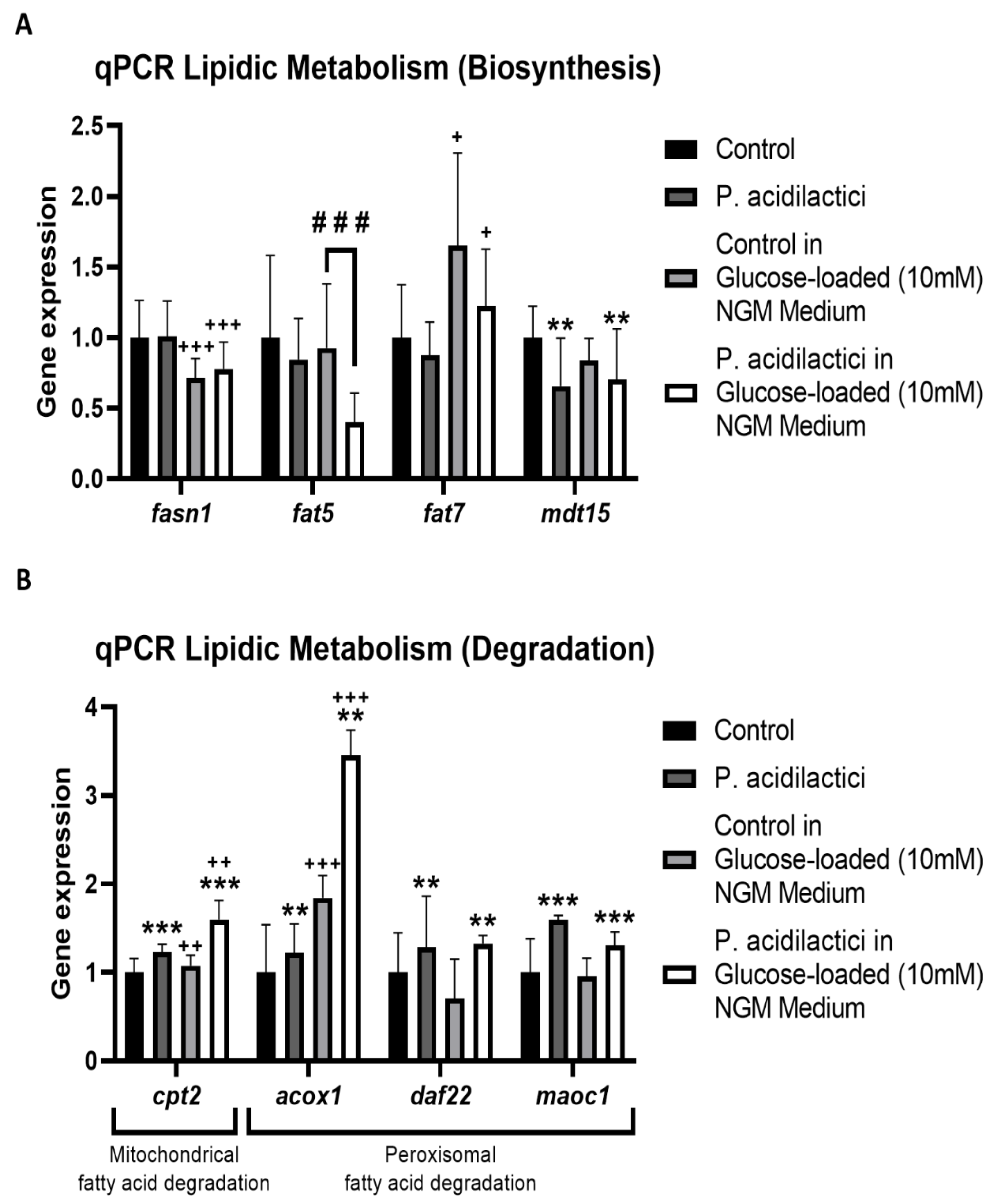 Ijms 23 02689 g004 Ijms 23 02689 g004