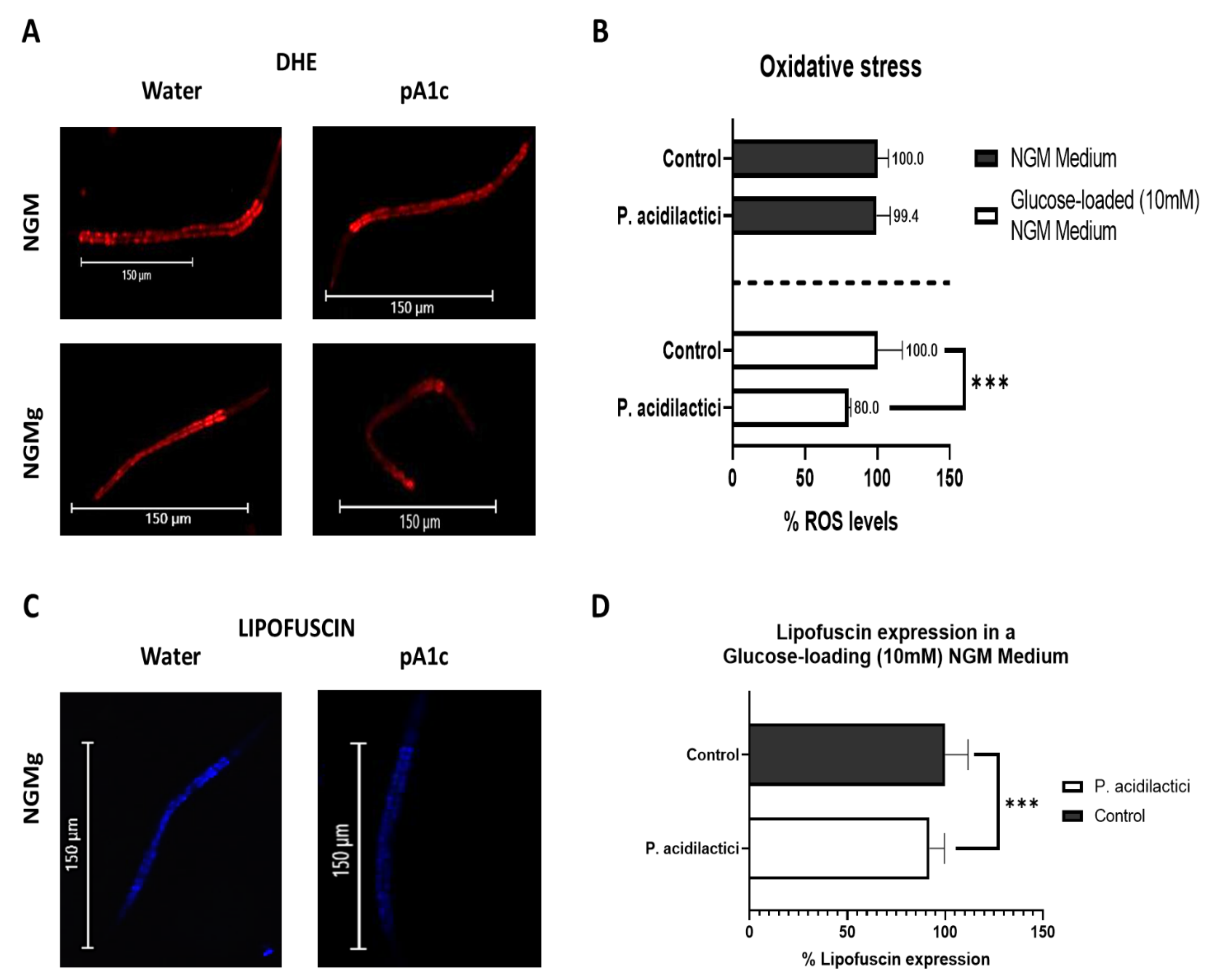 Ijms 23 02689 g005 Ijms 23 02689 g005