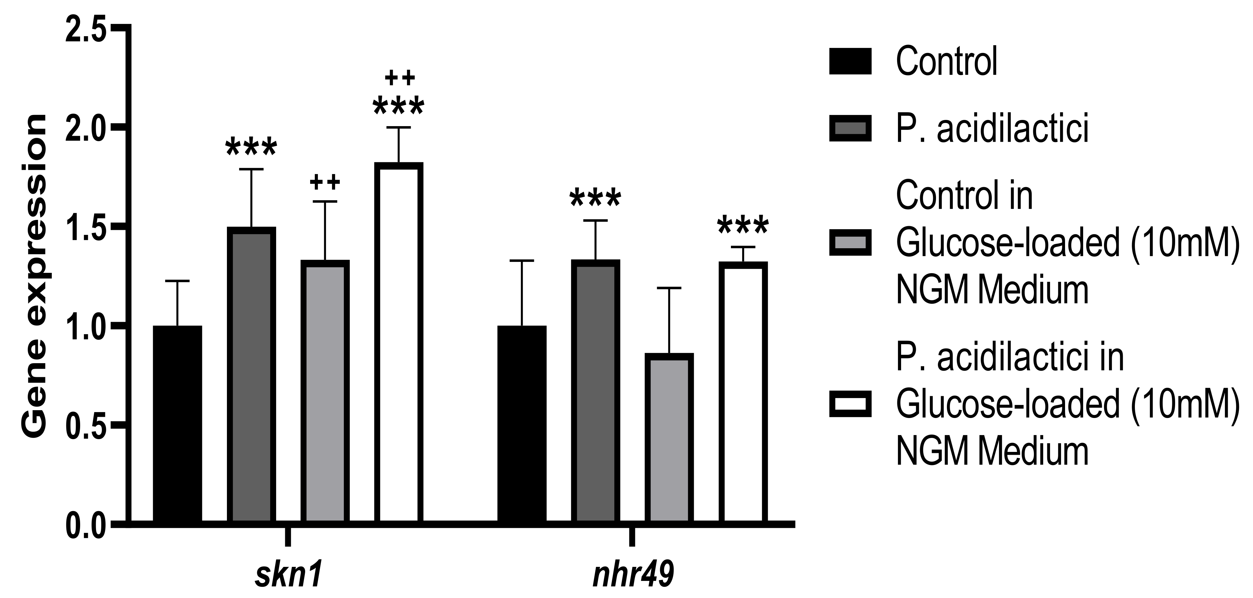 Ijms 23 02689 g007 Ijms 23 02689 g007