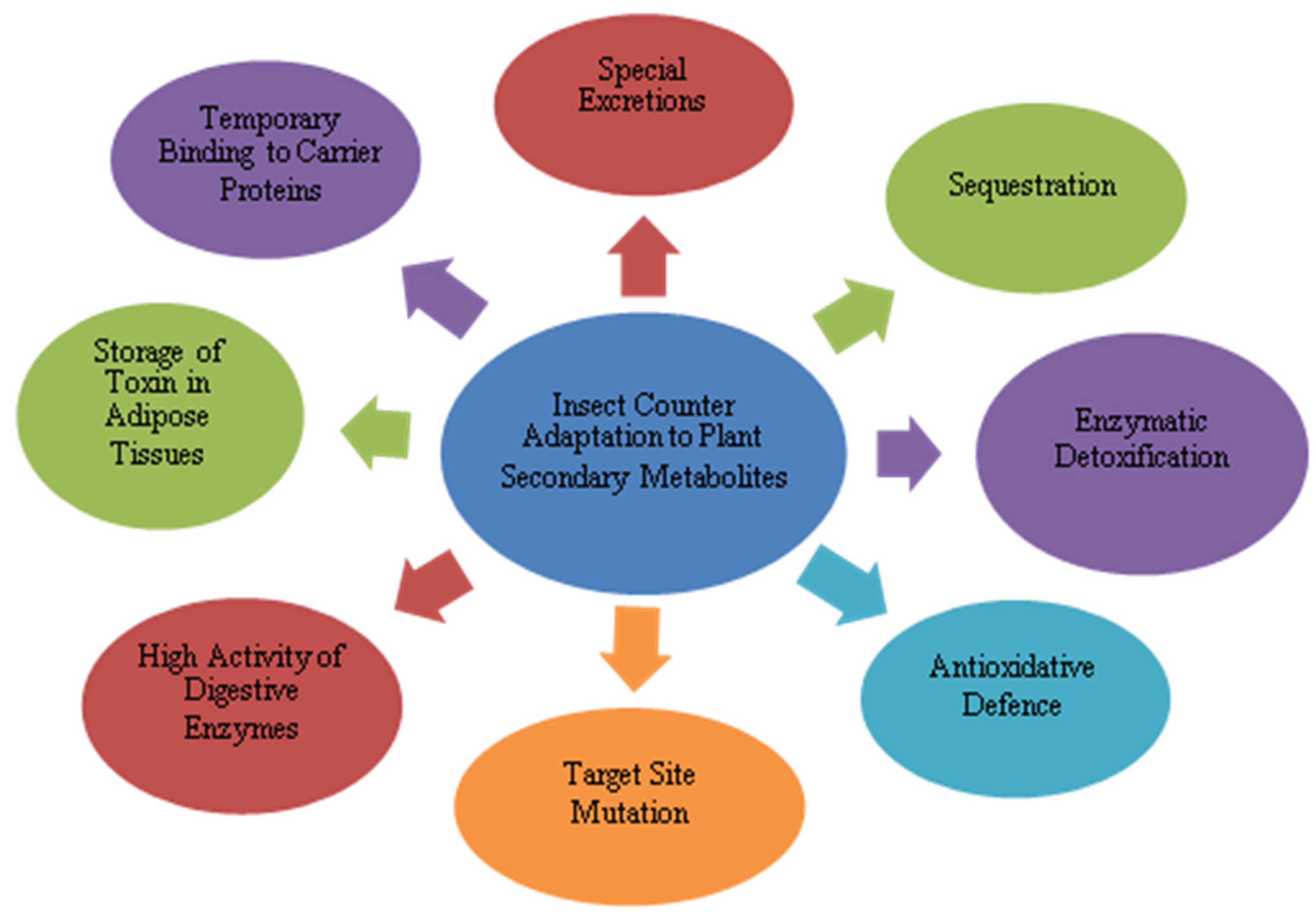 Ijms 23 02690 g004 Ijms 23 02690 g004