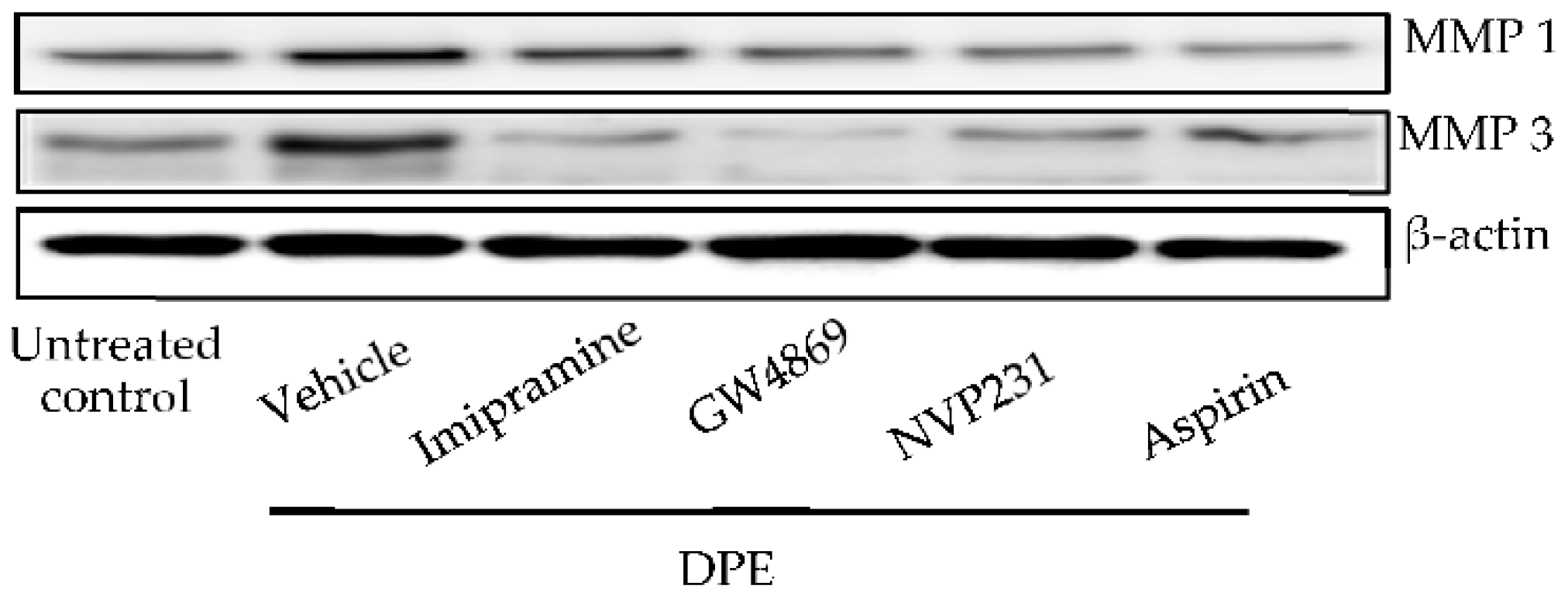 Ijms 23 02691 g006 550