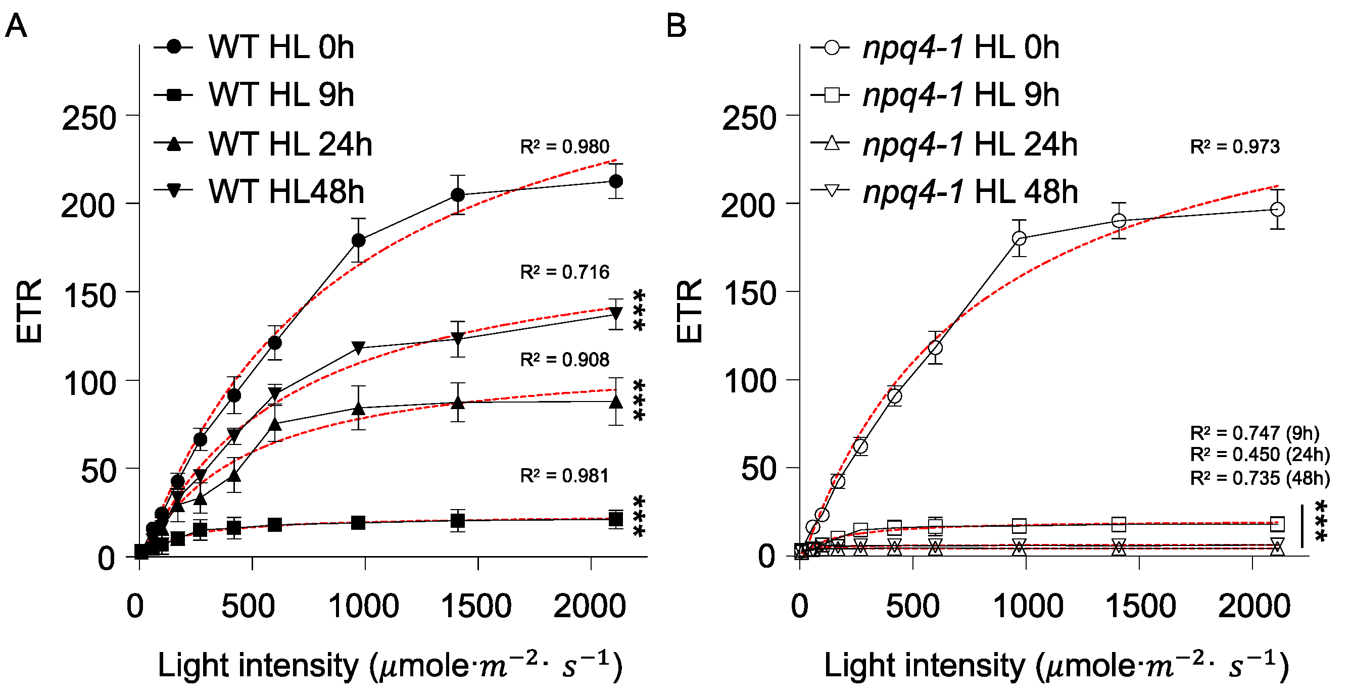 Ijms Free Full Text High Light Acclimation Mechanisms Deficient In A Psbs Knockout Arabidopsis Mutant Html Ijms Free Full Text High Light Acclimation Mechanisms Deficient In A Psbs Knockout Arabidopsis Mutant Html