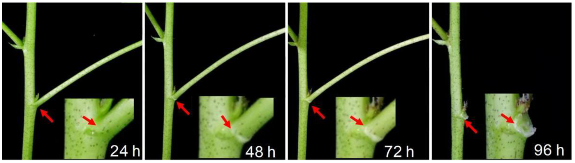 Ijms 23 02696 g001 550