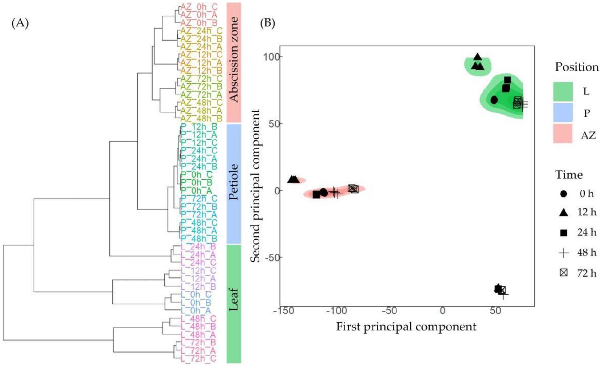 Ijms 23 02696 g002 550