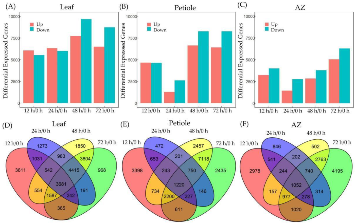 Ijms 23 02696 g003 550