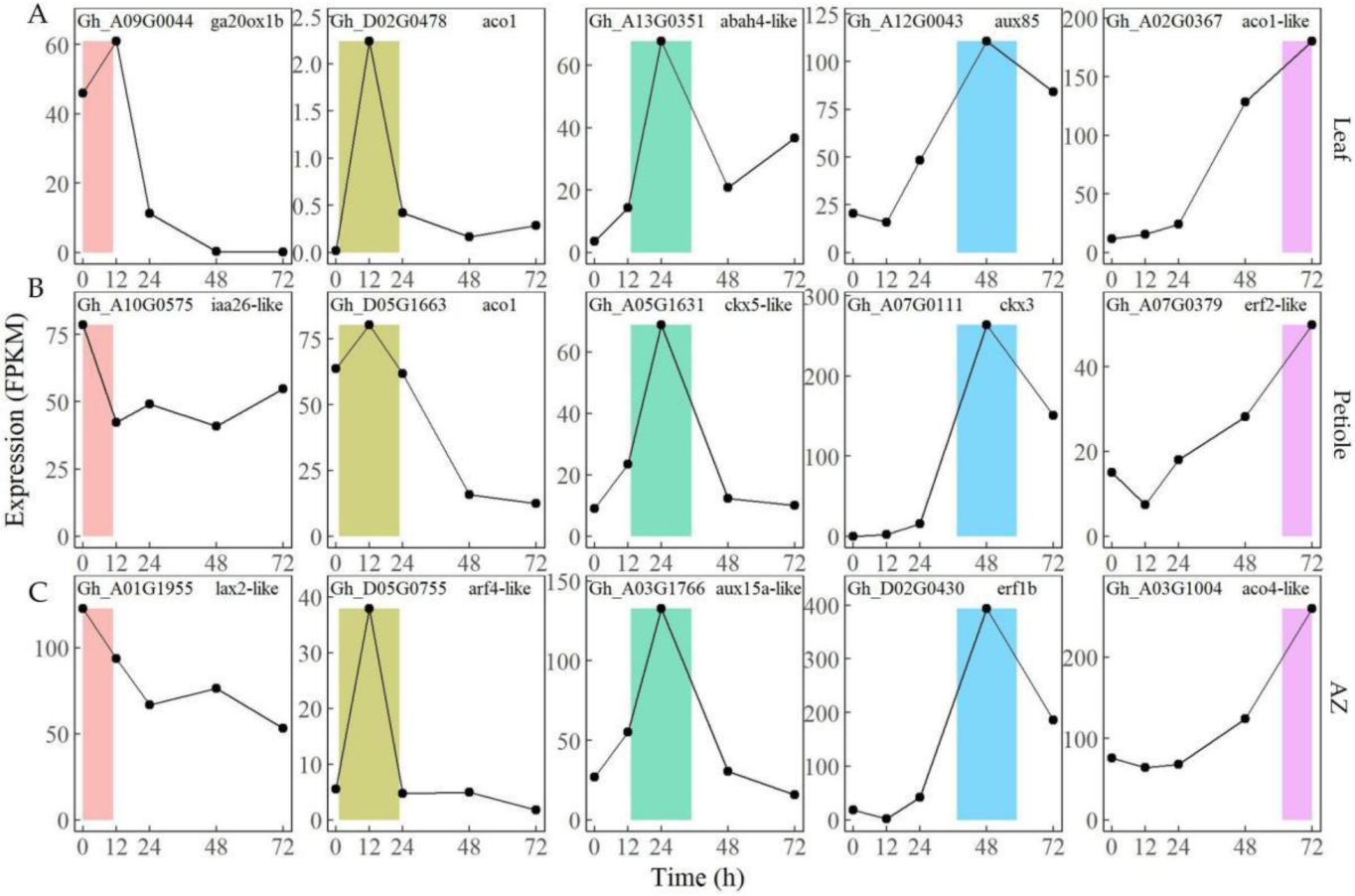 Ijms 23 02696 g004 550