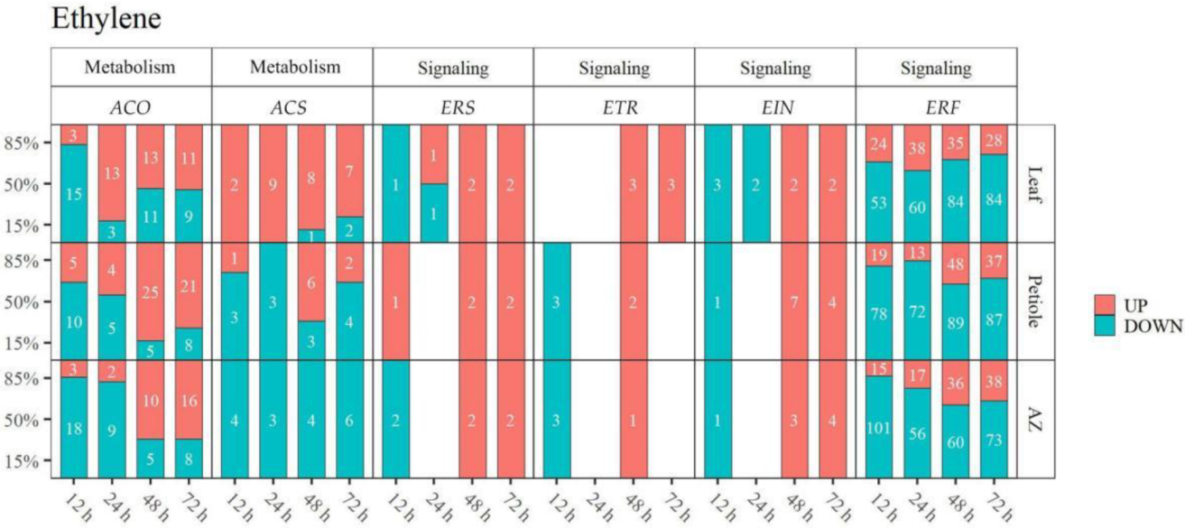 Ijms 23 02696 g007 550