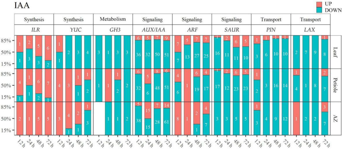 Ijms 23 02696 g008 550