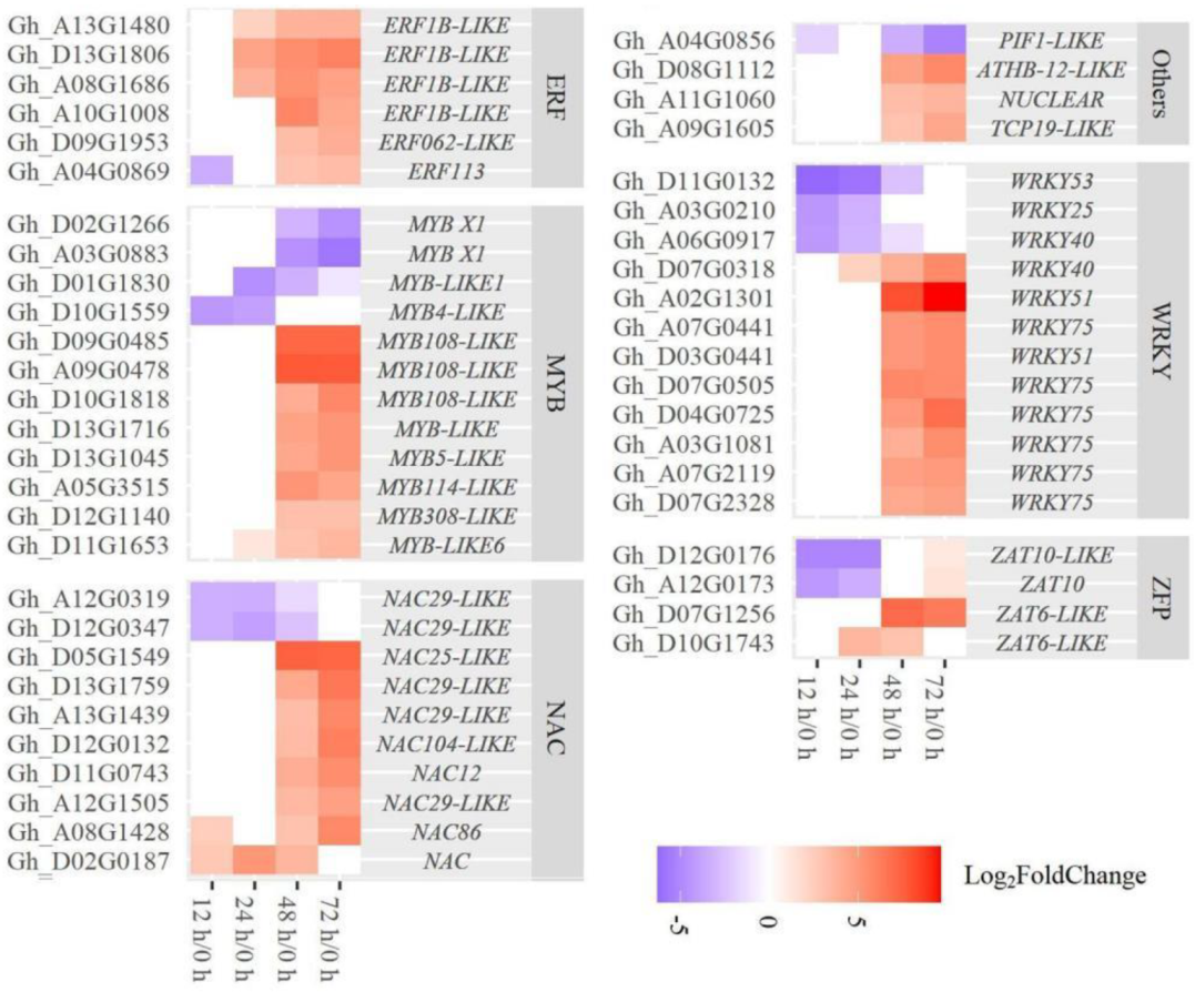 Ijms 23 02696 g013 550