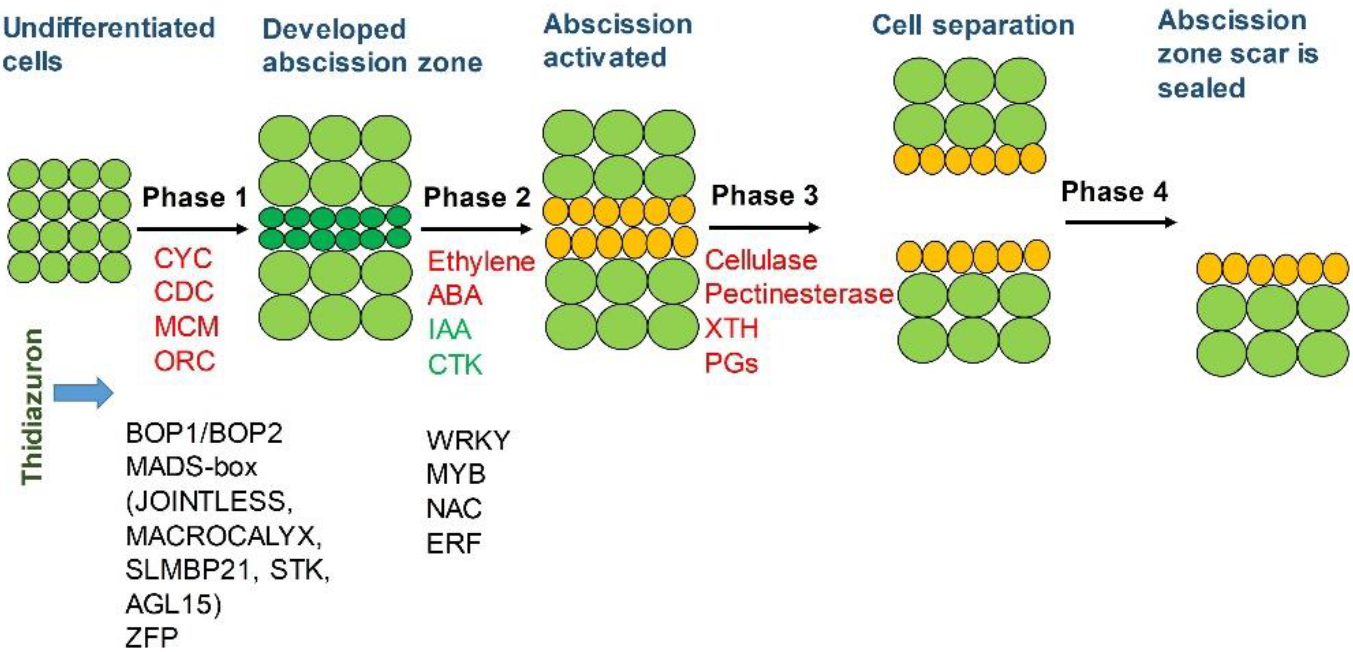 Ijms 23 02696 g014 550