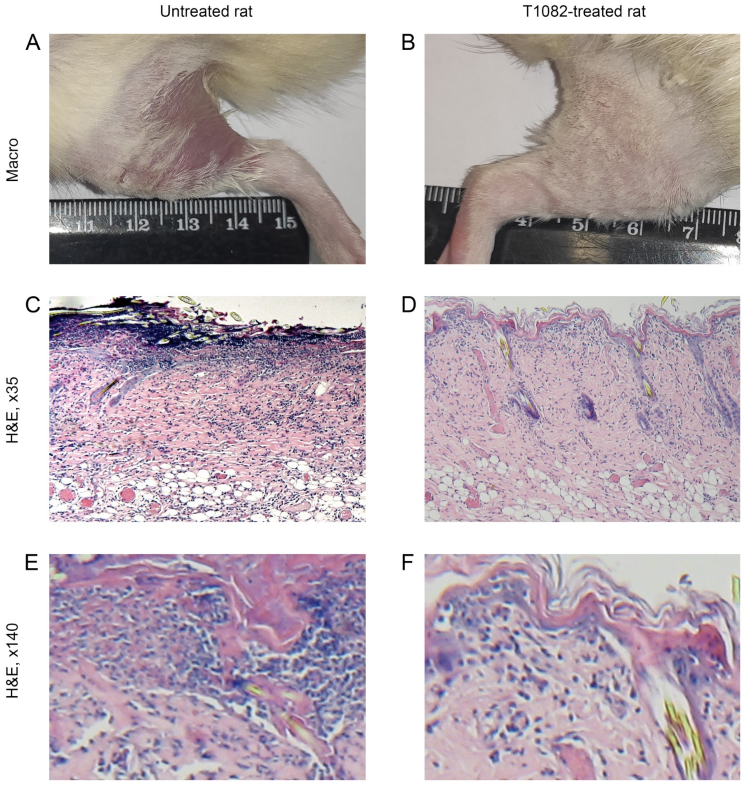 Ijms 23 02697 g005 550