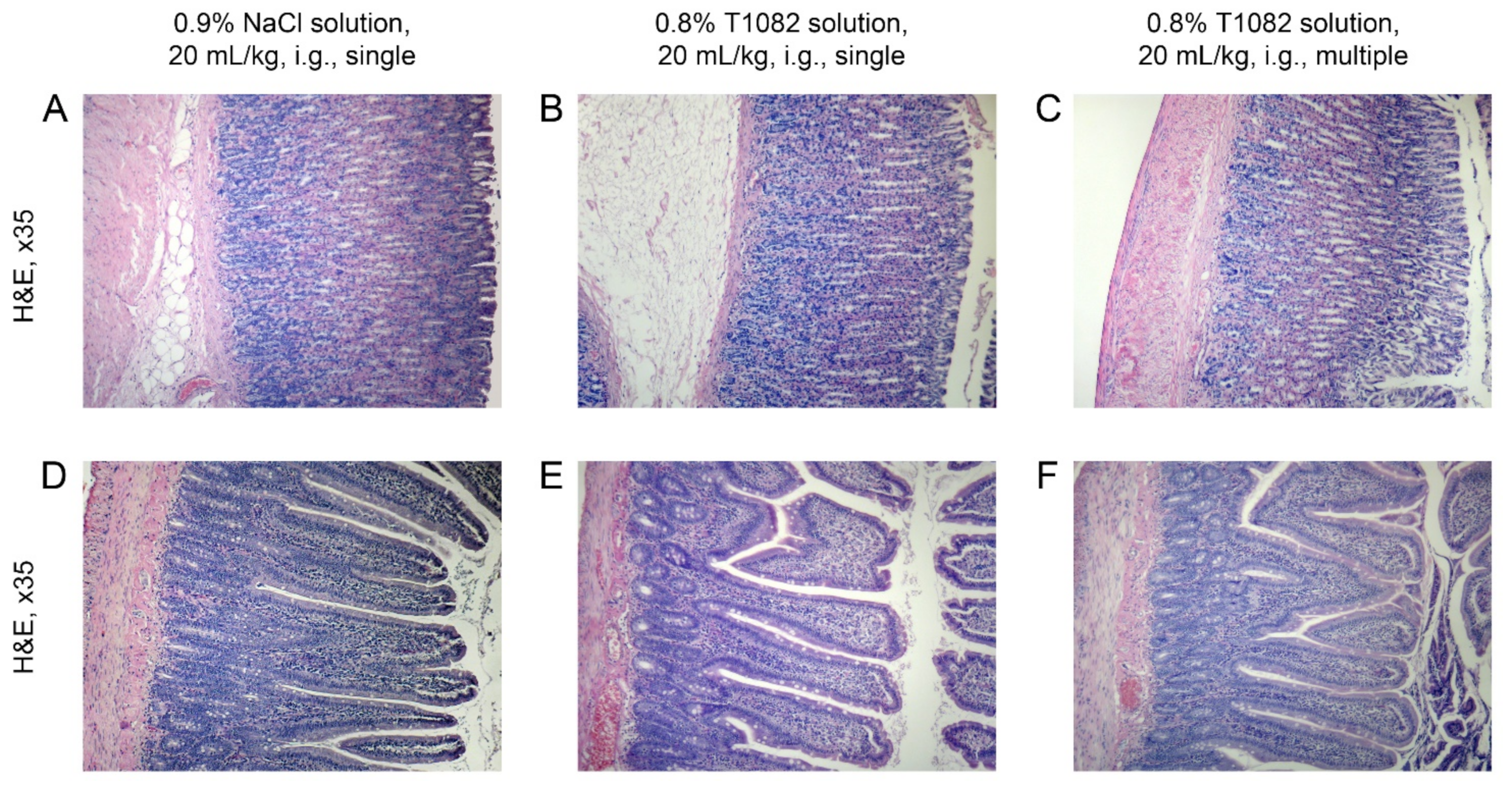 Ijms 23 02697 g007 550