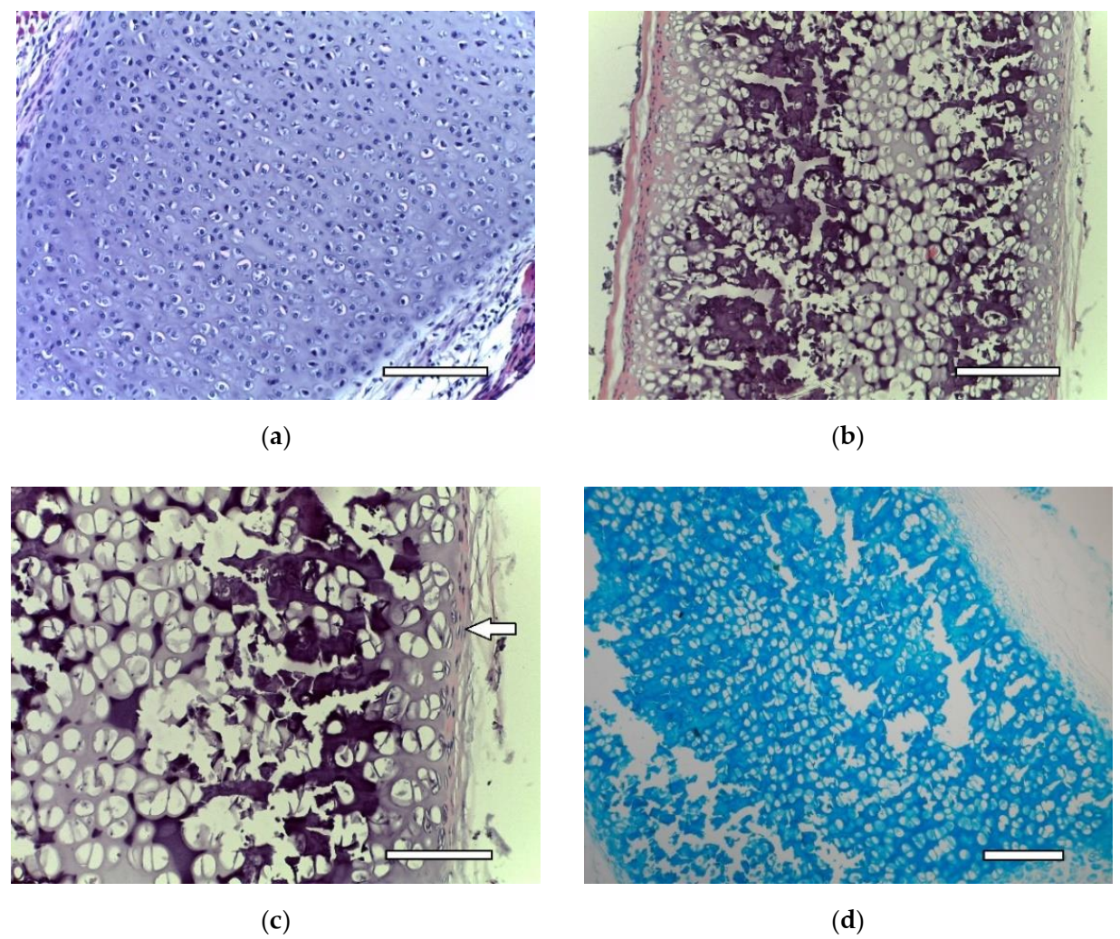 Ijms 23 02703 g002 Ijms 23 02703 g002