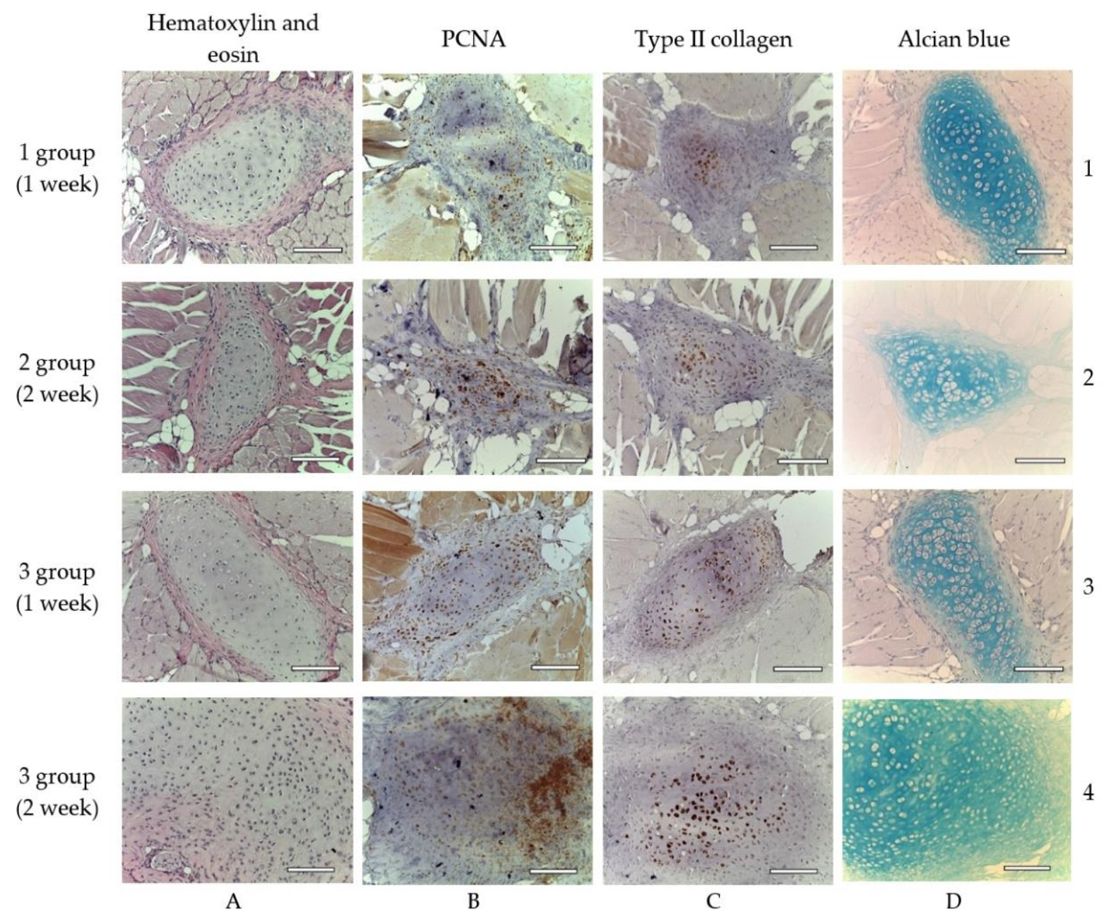 Ijms 23 02703 g008 Ijms 23 02703 g008