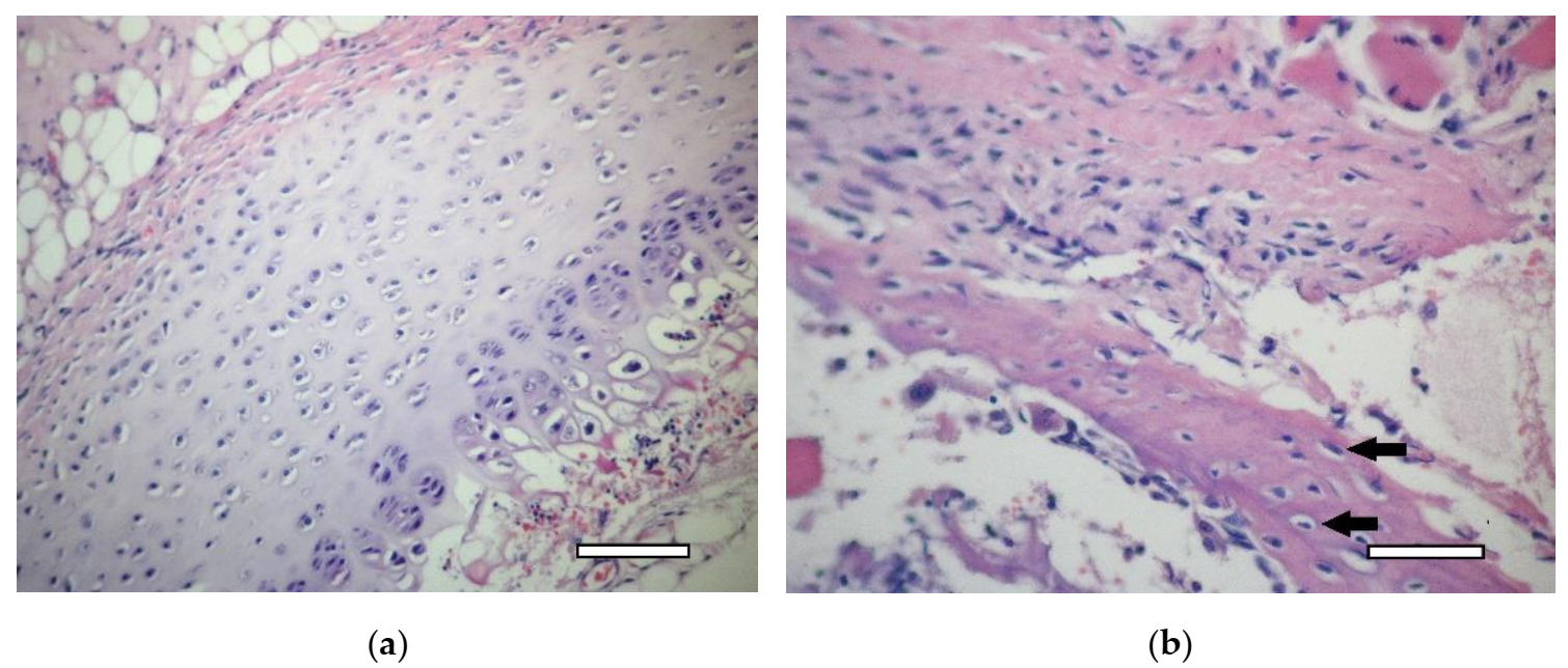 Ijms 23 02703 g009 Ijms 23 02703 g009