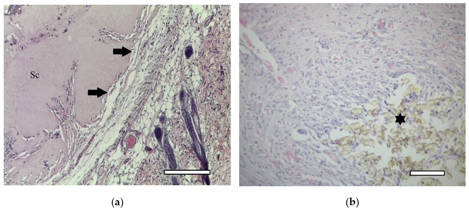 Ijms 23 02703 g010 Ijms 23 02703 g010