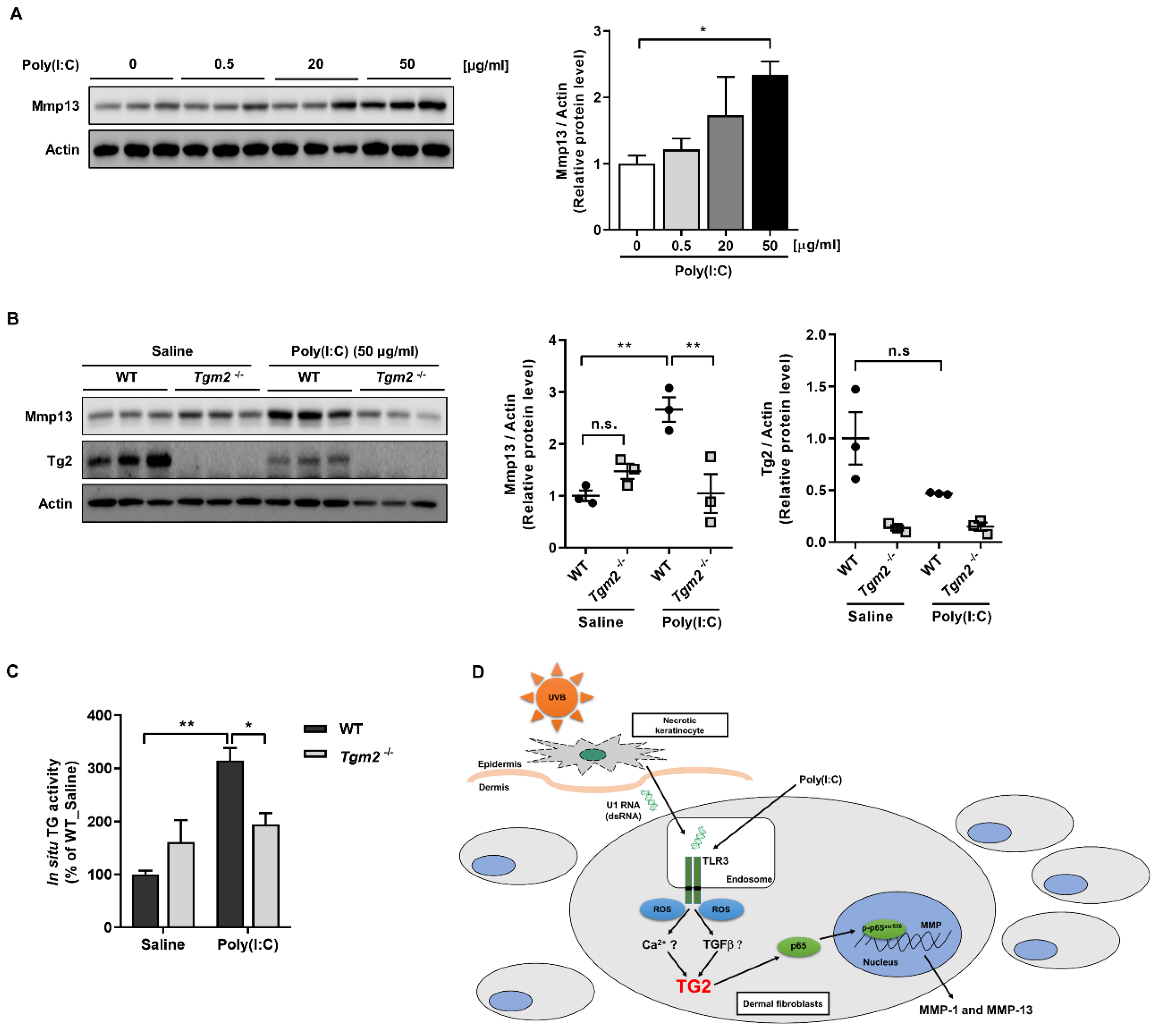 Ijms 23 02709 g006 550