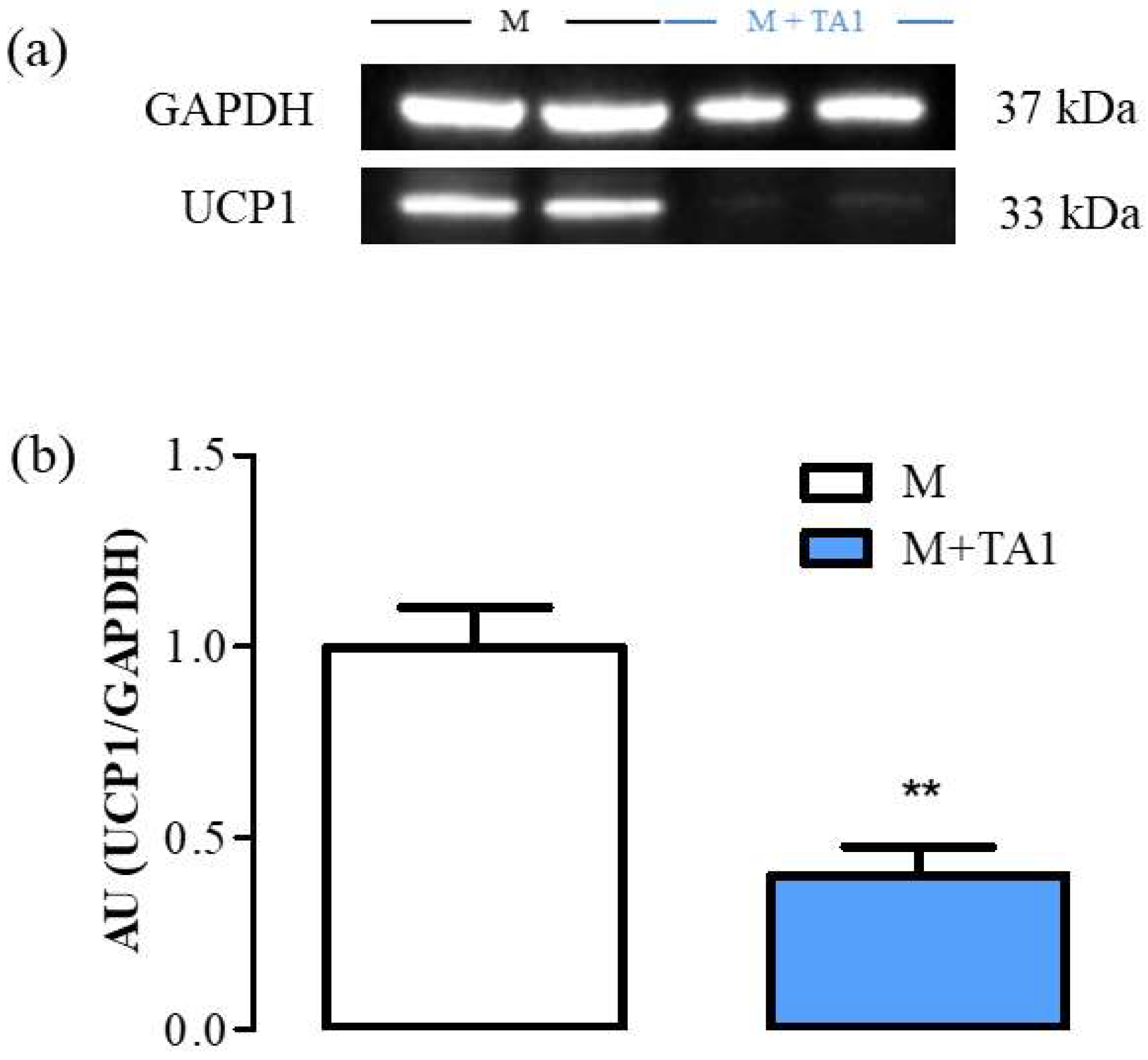 Ijms 23 02718 g003 550