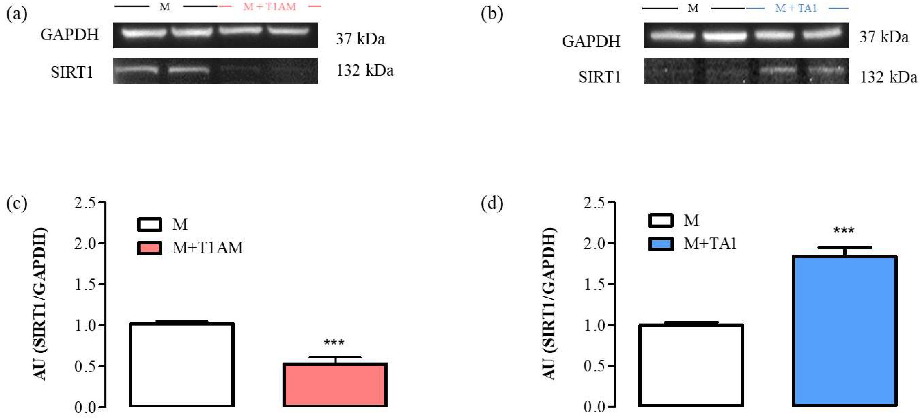 Ijms 23 02718 g006 550