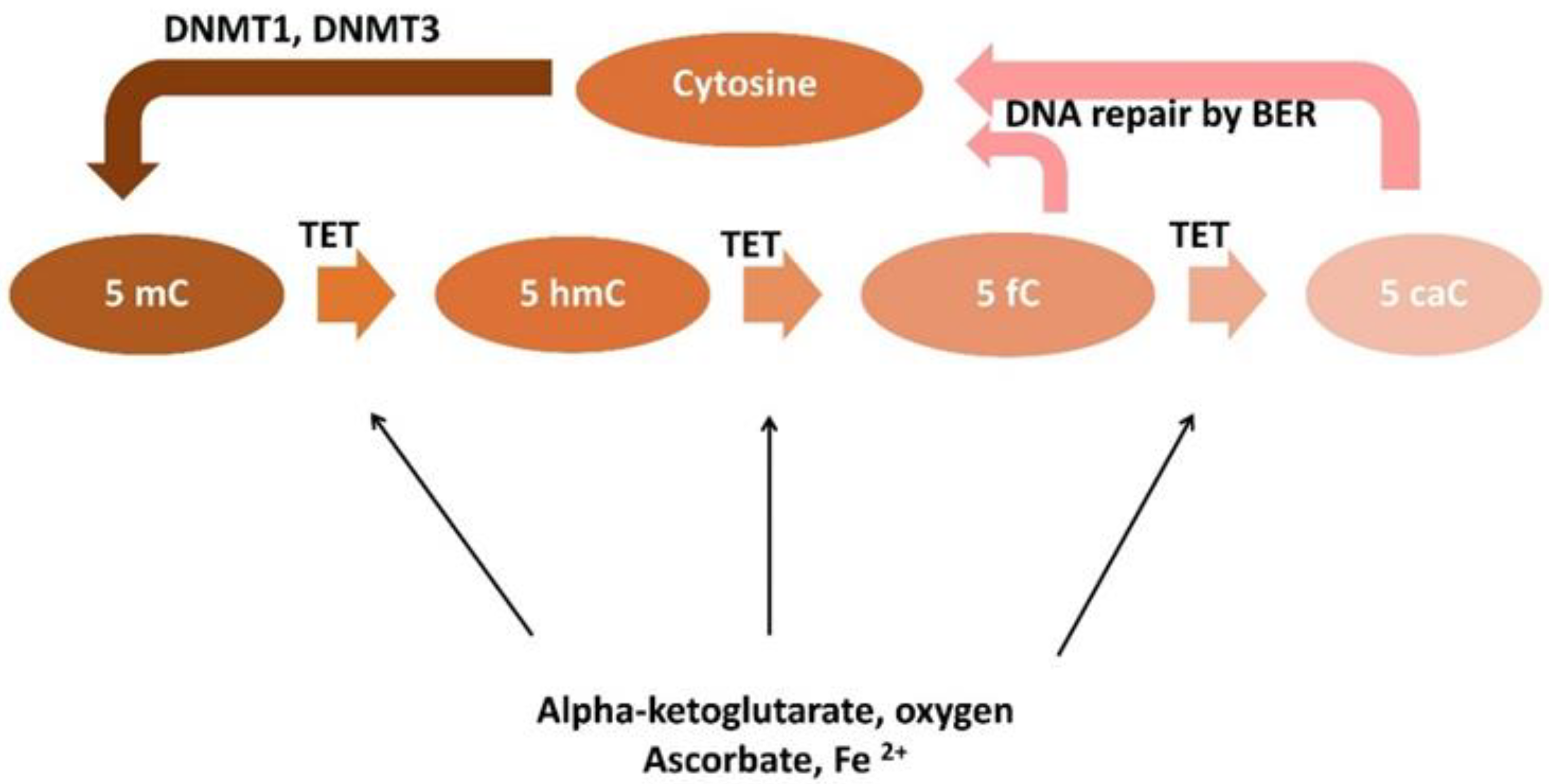 Ijms 23 02720 g002 550