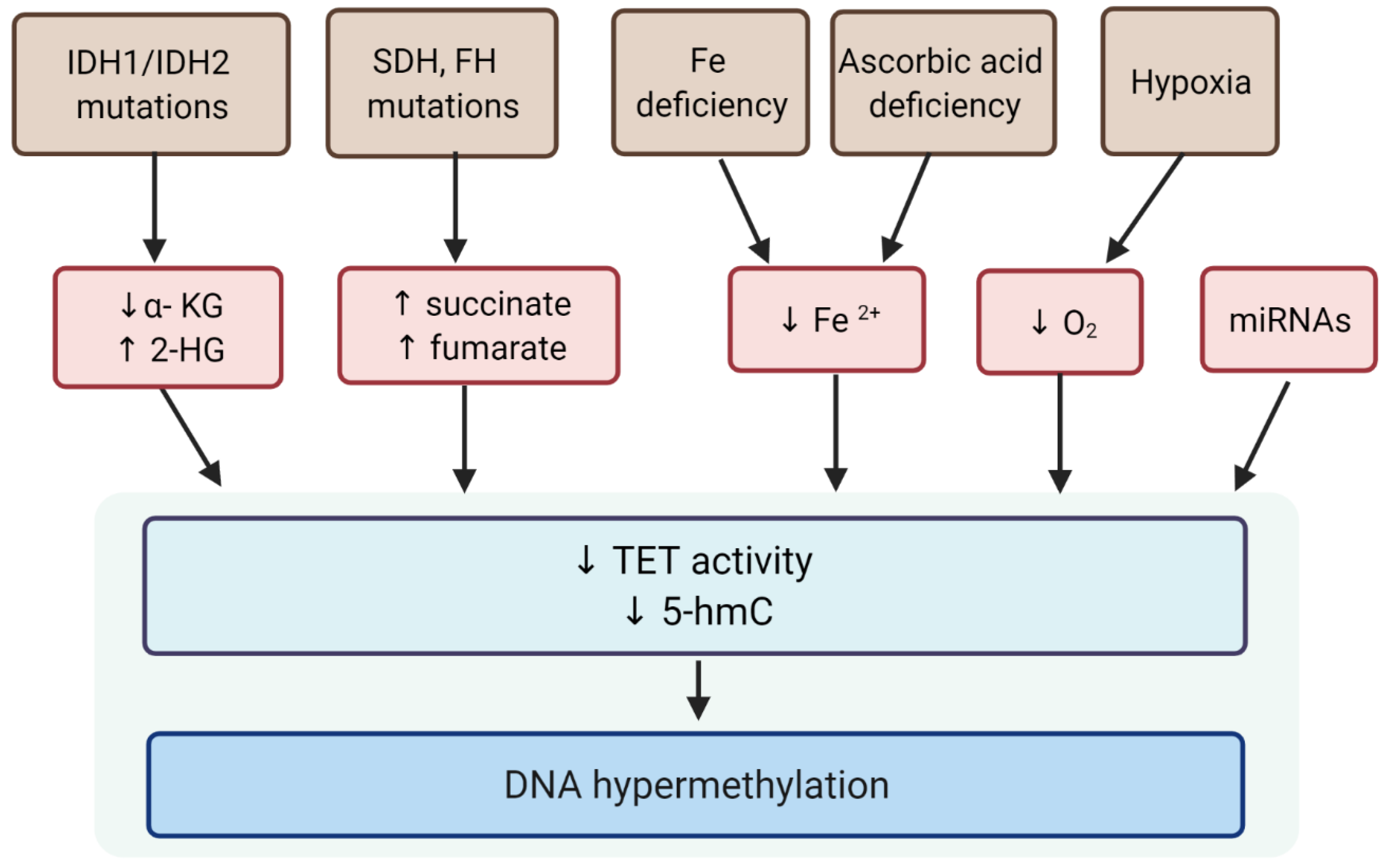 Ijms 23 02720 g003 550