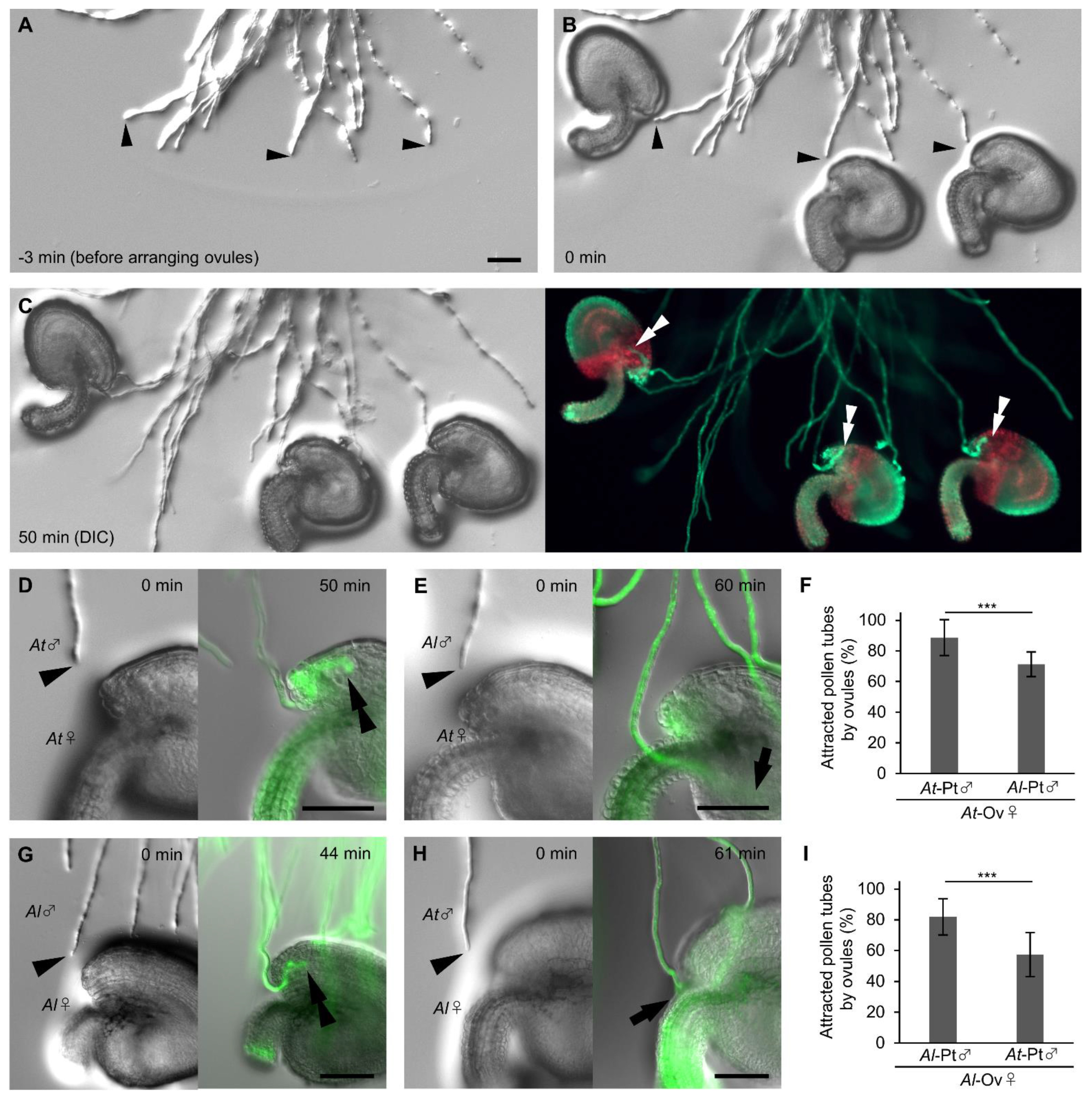 Ijms 23 02722 g002 Ijms 23 02722 g002