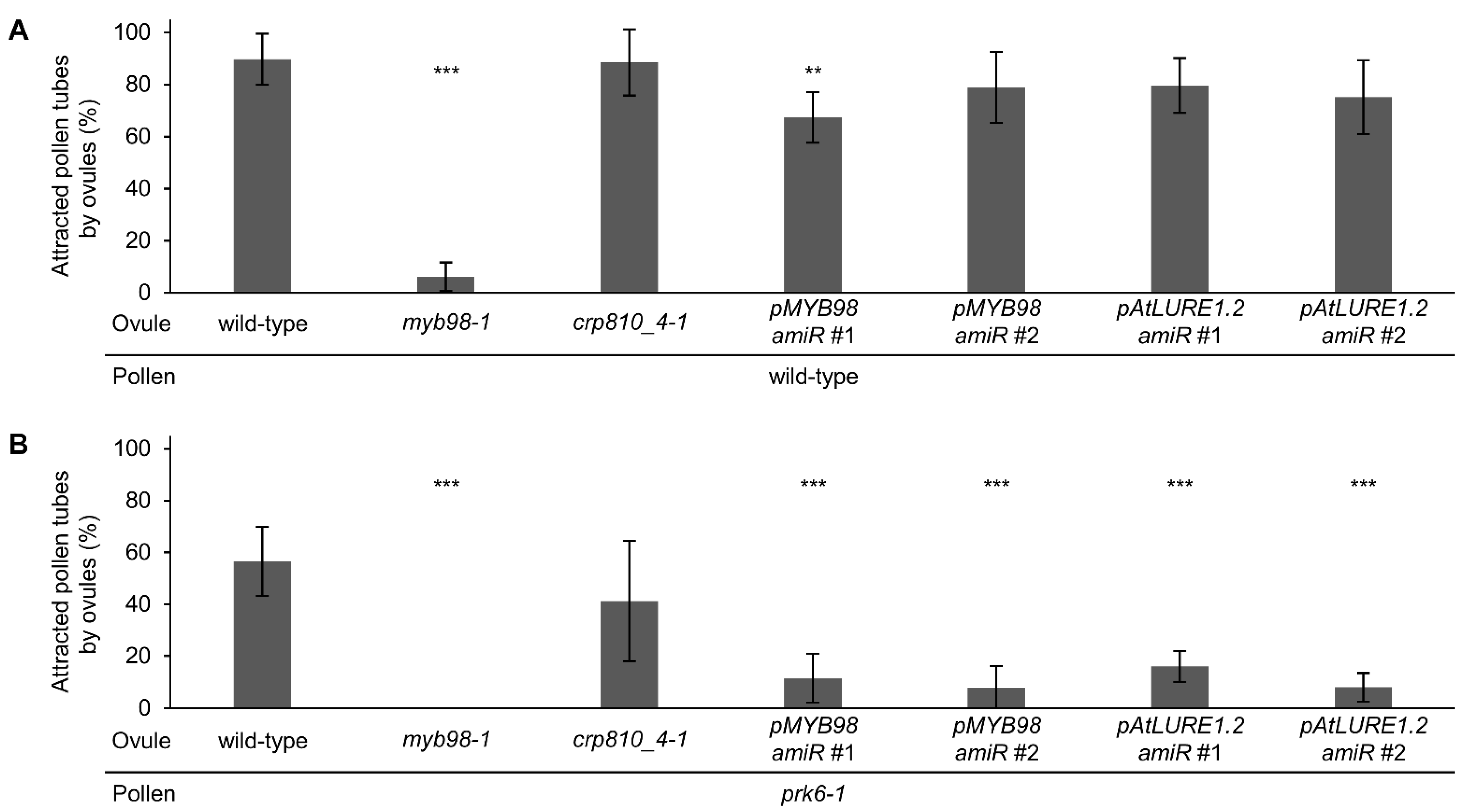 Ijms 23 02722 g003 Ijms 23 02722 g003