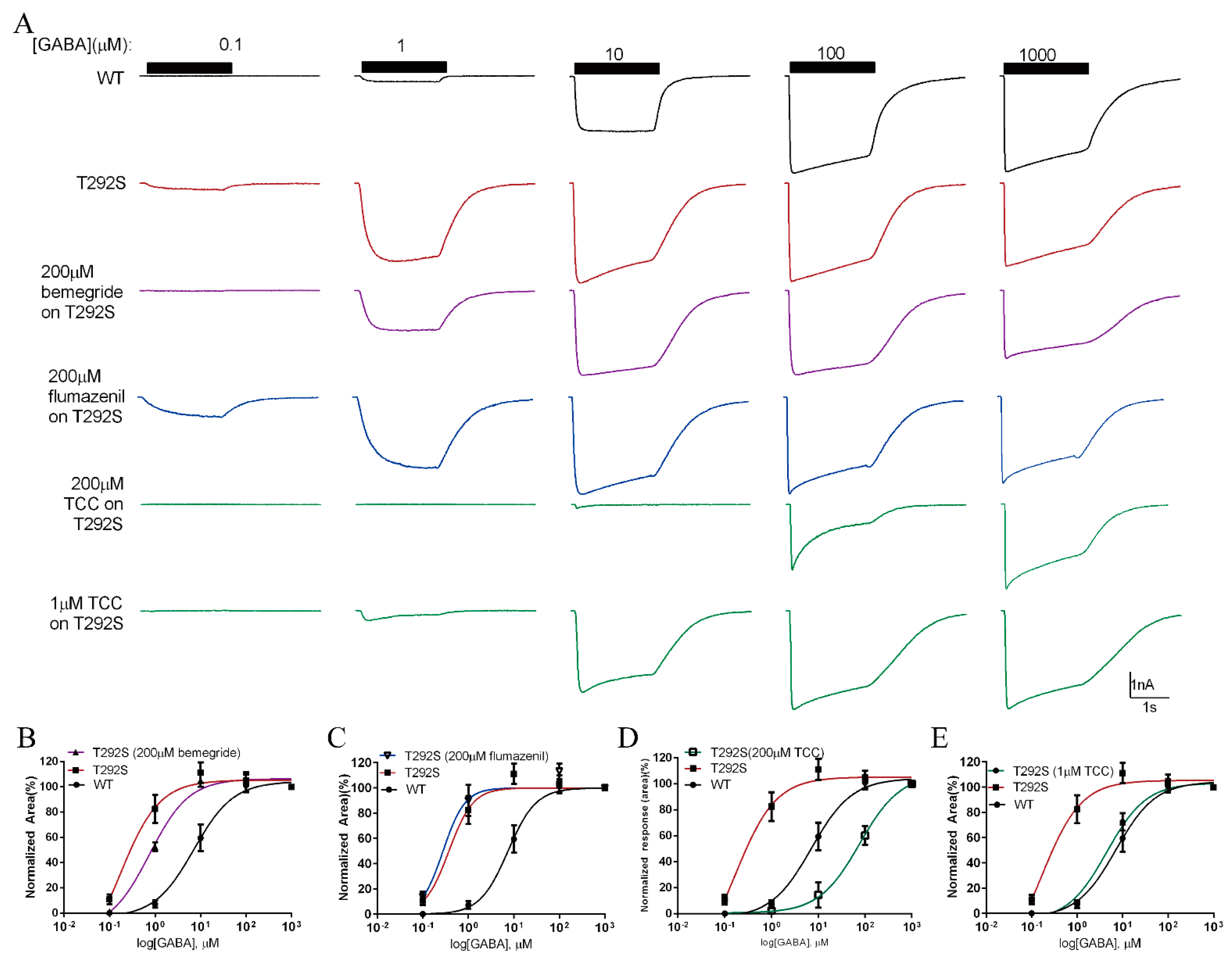 Ijms 23 02723 g006 550