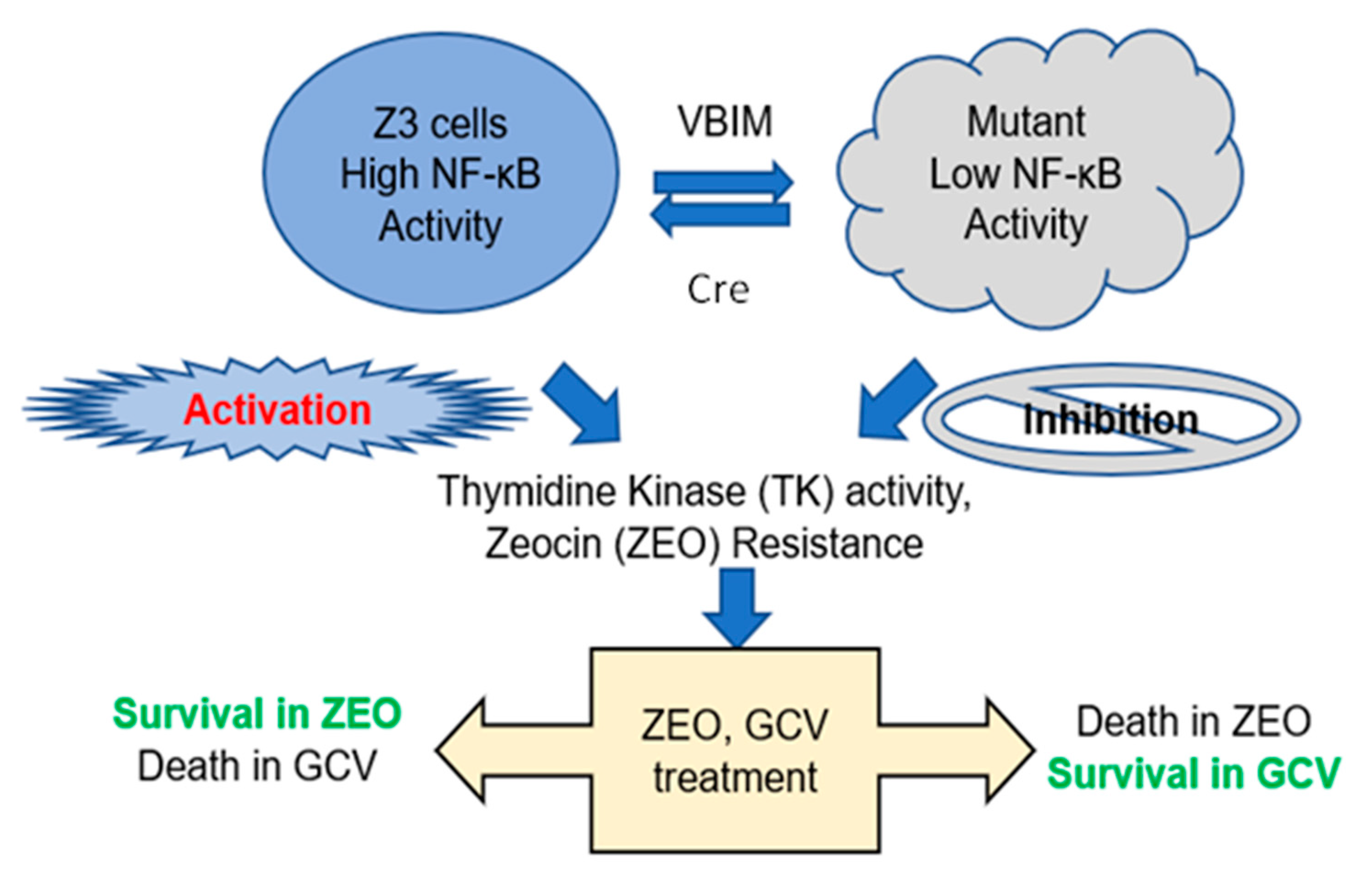 Ijms 23 02732 g001 550