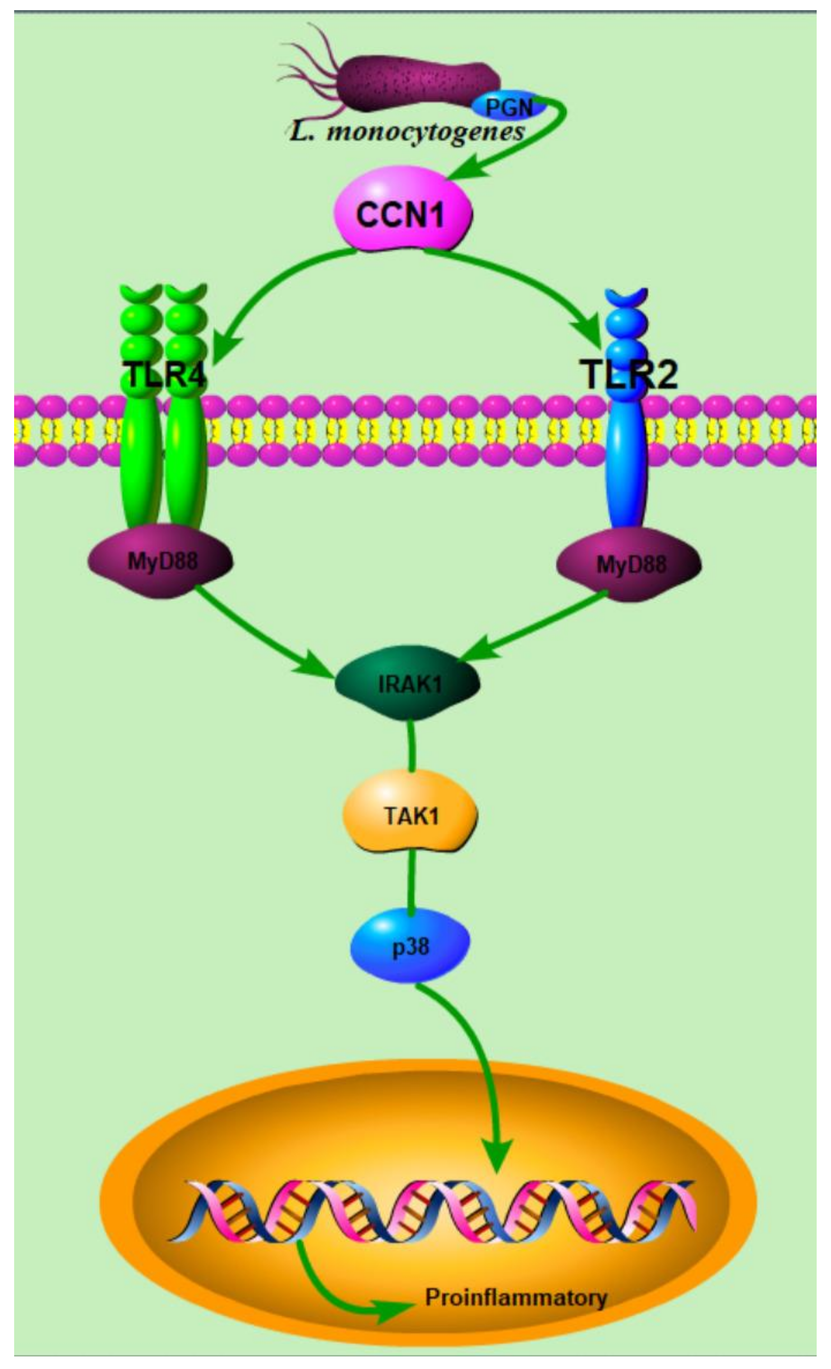 Ijms 23 02739 g008 550