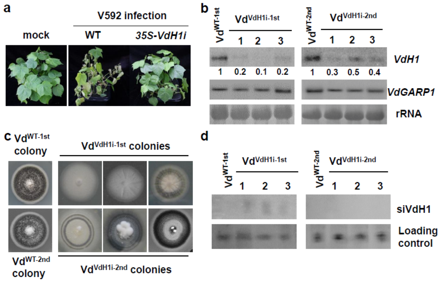 Ijms 23 02742 g002 550