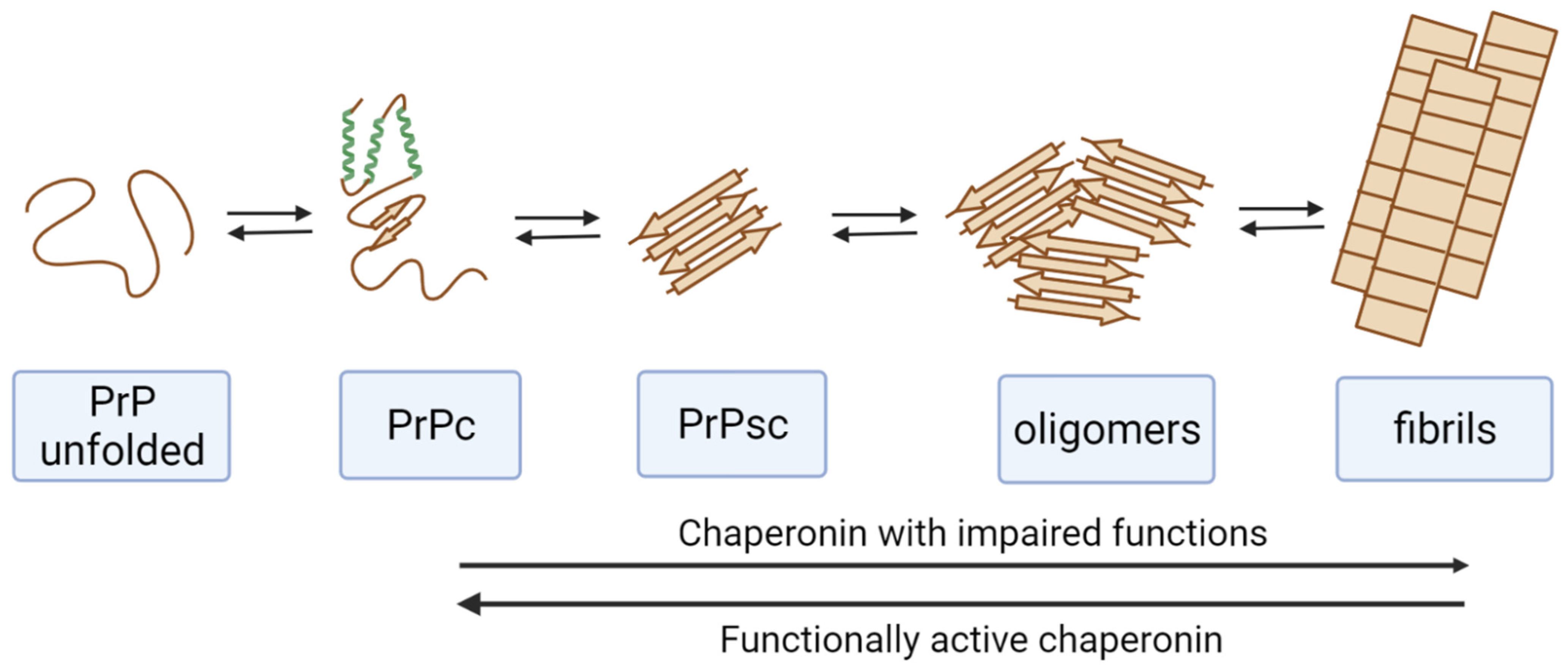Ijms 23 02747 g001 Ijms 23 02747 g001
