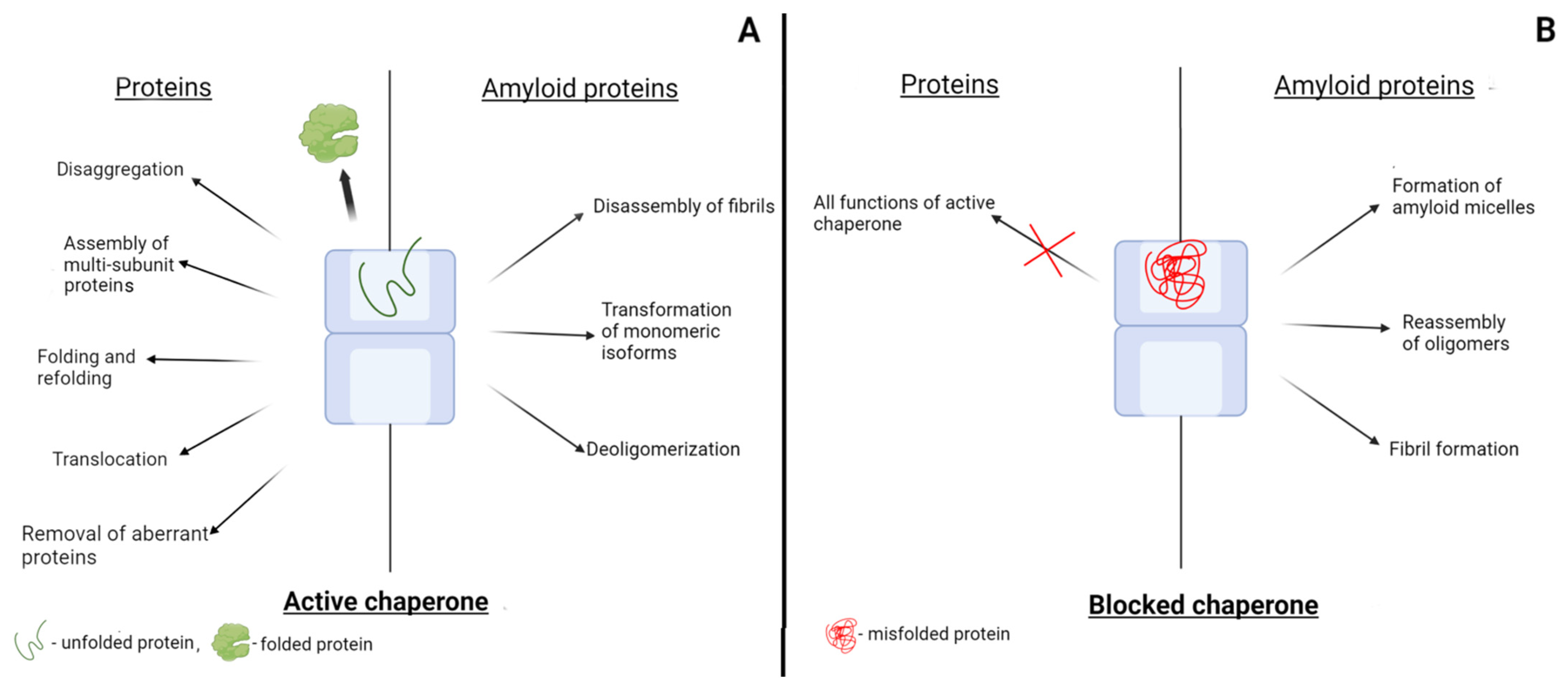 Ijms 23 02747 g002 Ijms 23 02747 g002