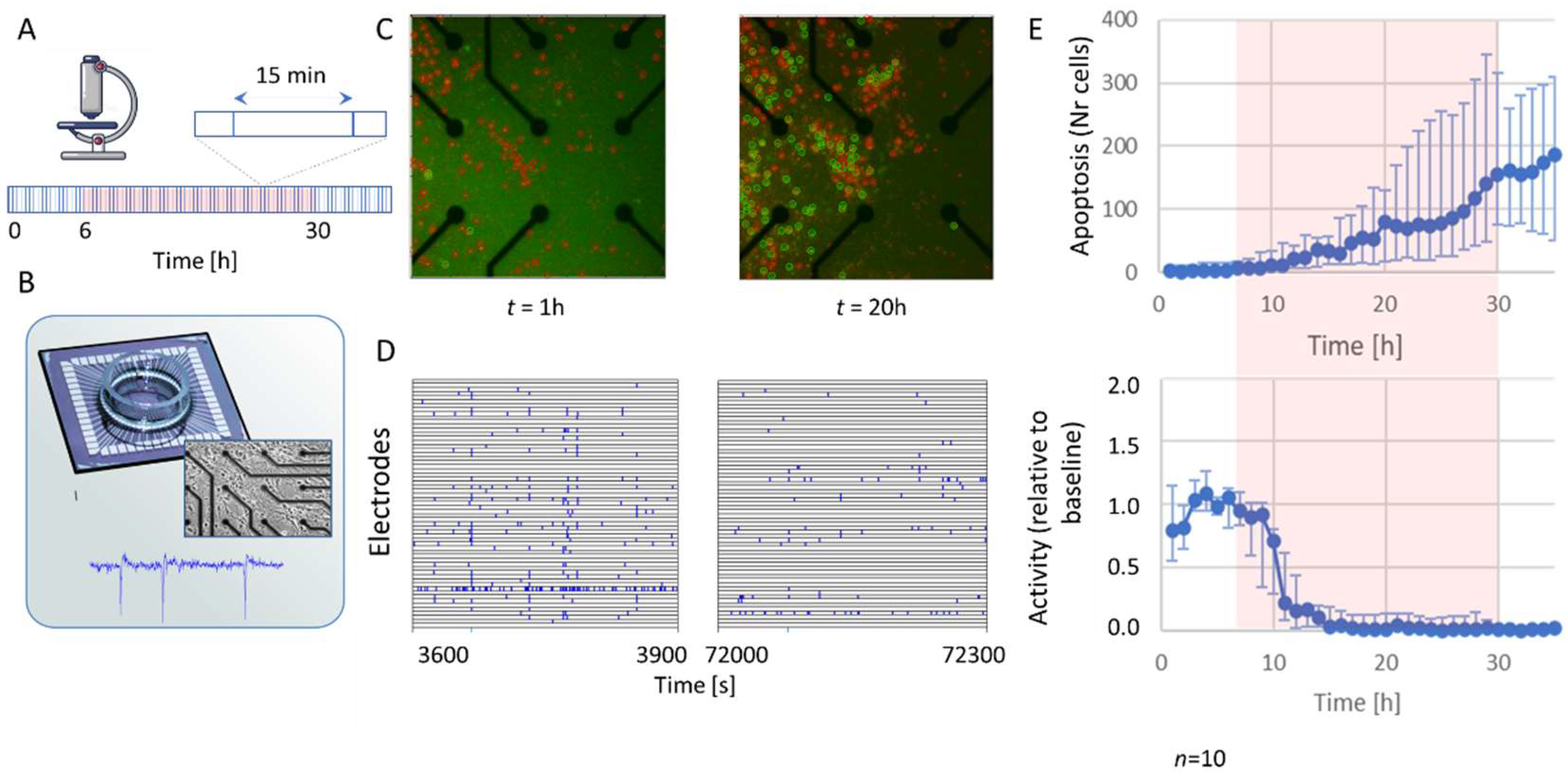 Ijms 23 02754 g001 550