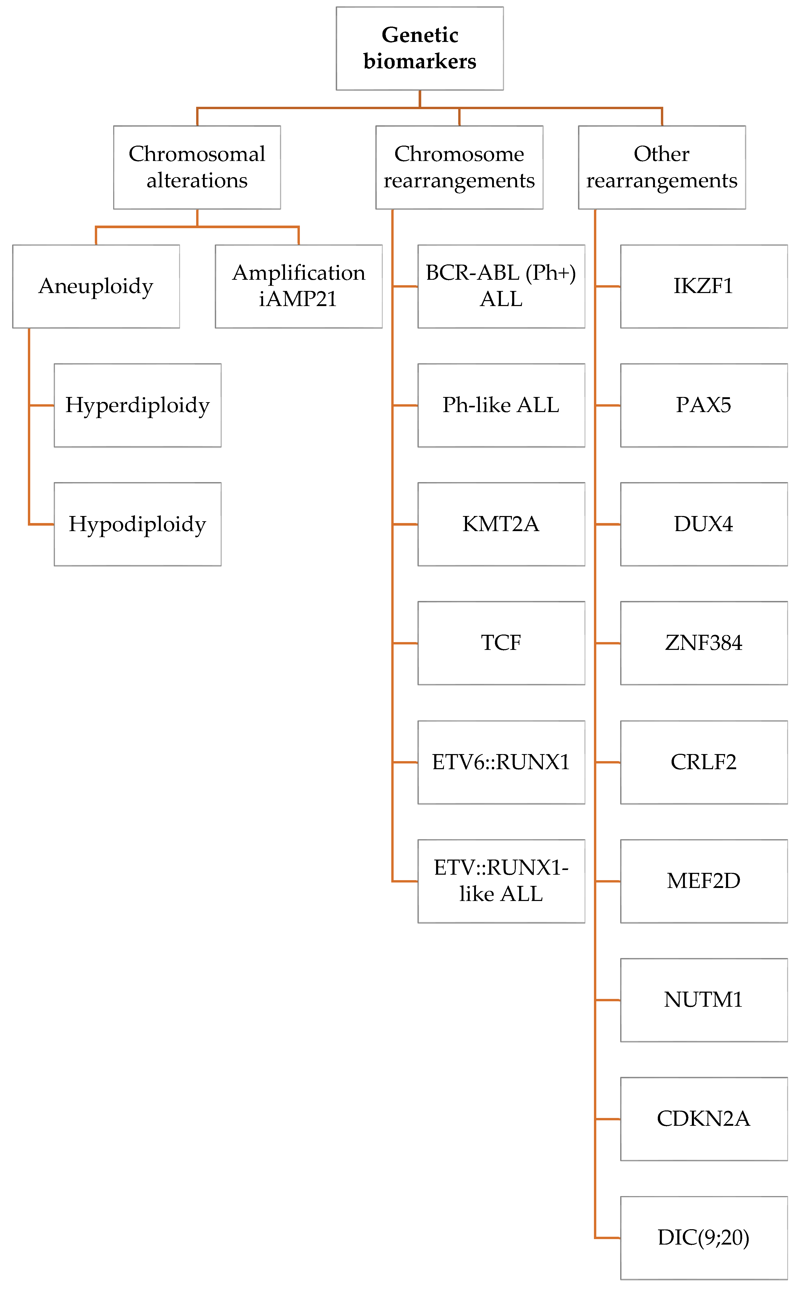Ijms Free Full Text Genetic Biomarkers And Their Clinical Implications In B Cell Acute Lymphoblastic Leukemia In Children Ijms Free Full Text Genetic Biomarkers And Their Clinical Implications In B Cell Acute Lymphoblastic Leukemia In Children