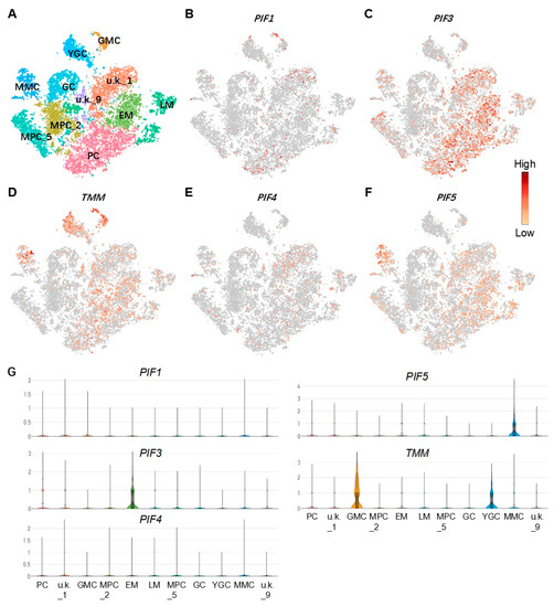 Identification of the Regulators of Epidermis Development