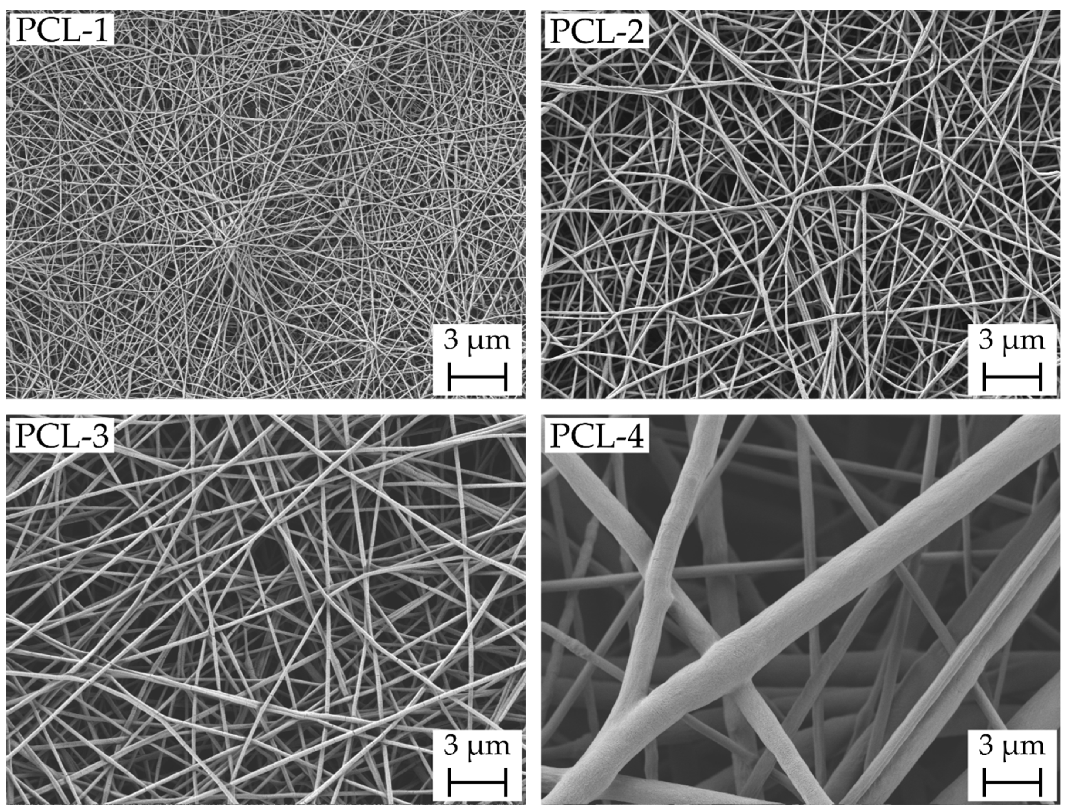 Ijms 23 02765 g001 550