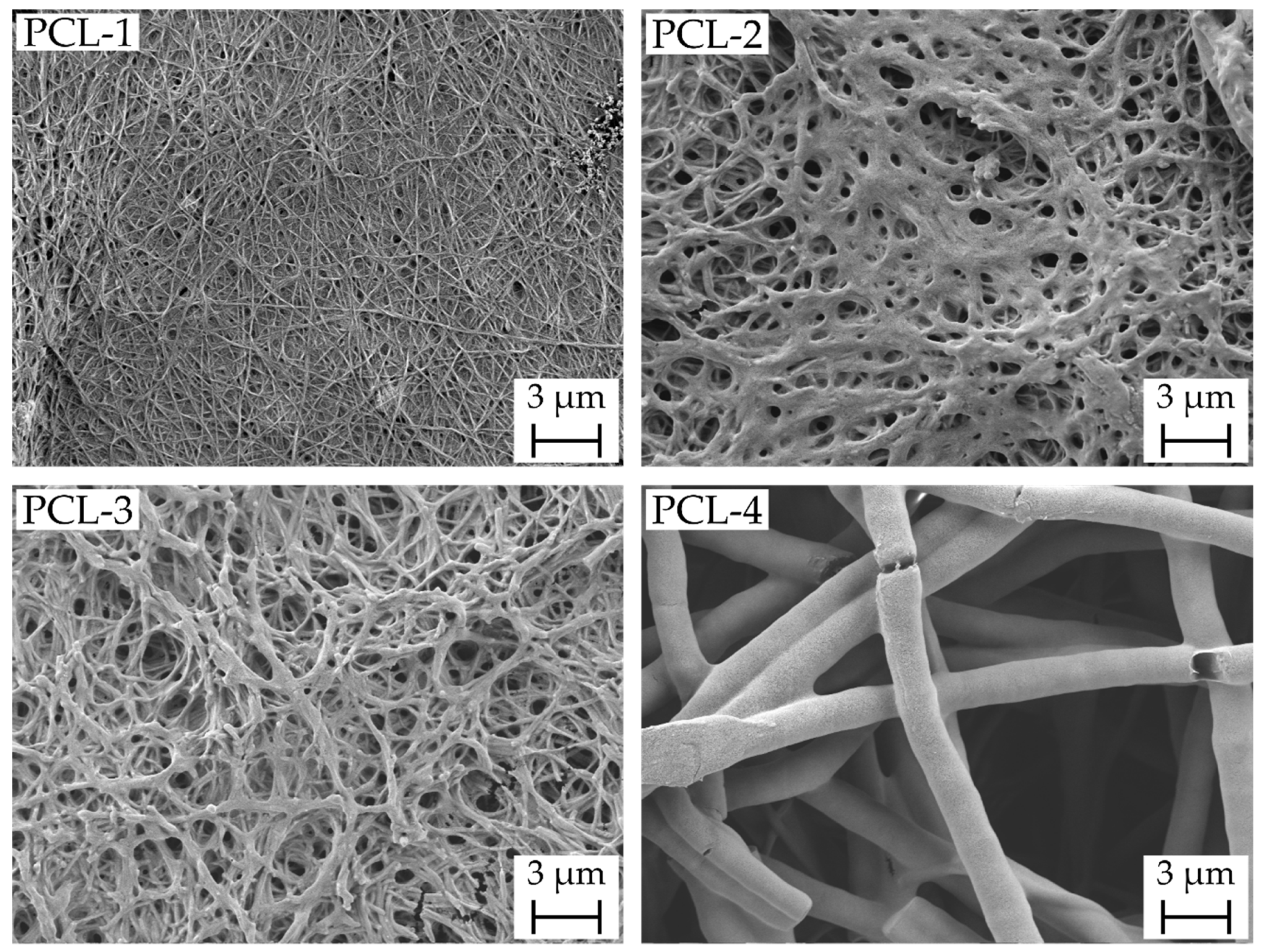 Ijms 23 02765 g005 550