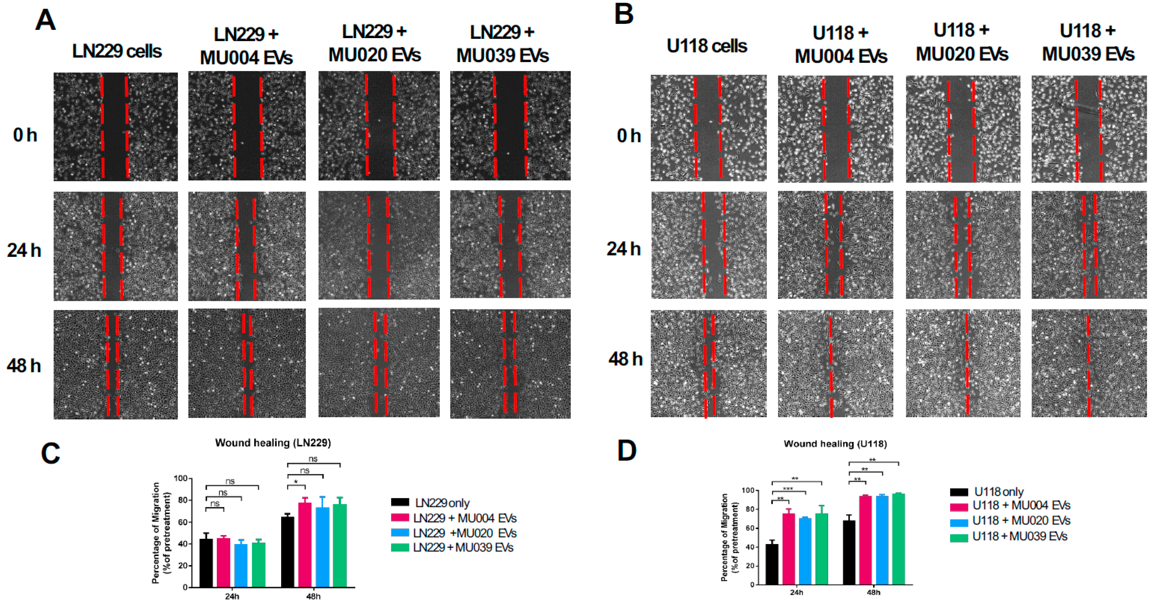 Ijms 23 02770 g003 550