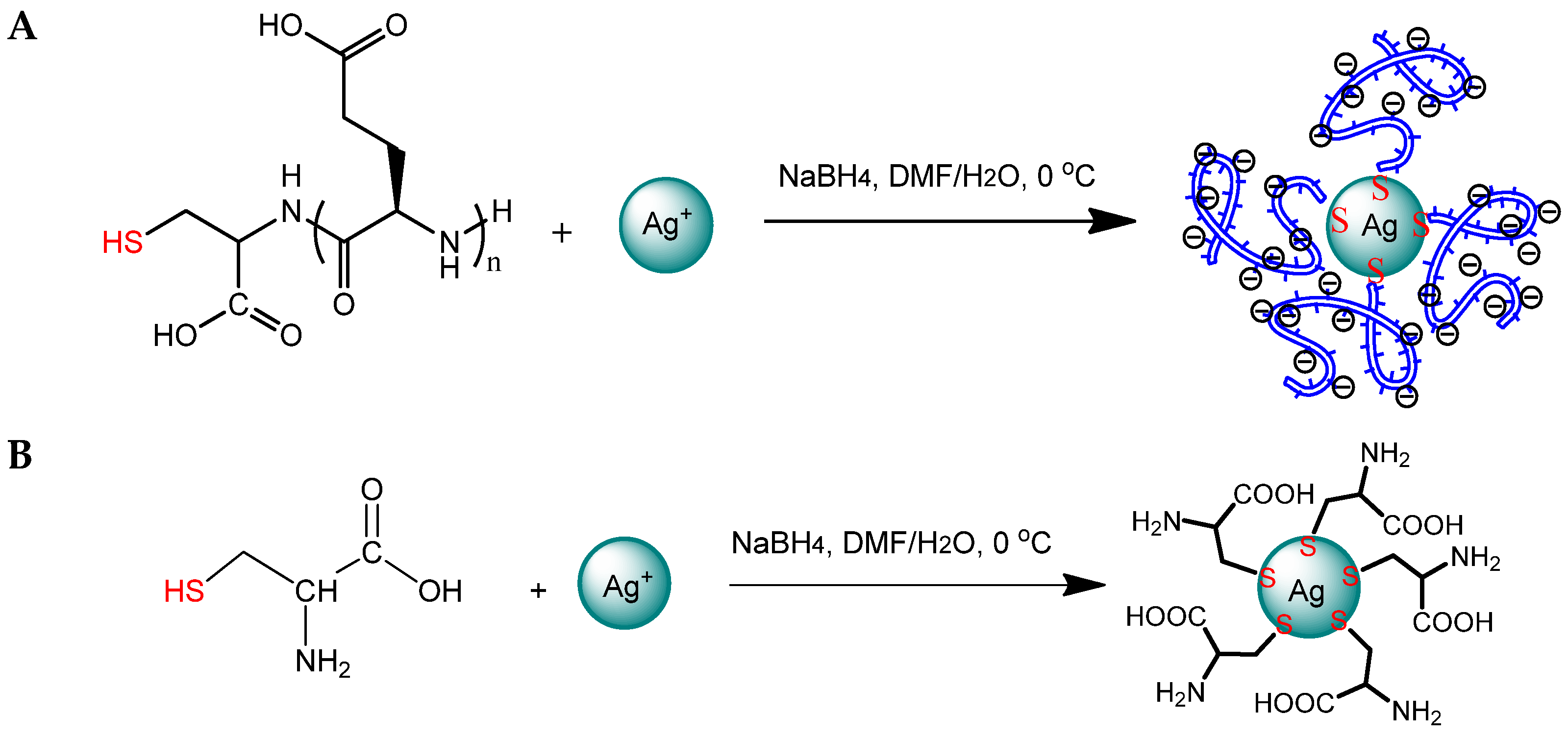 Ijms 23 02771 g003 550